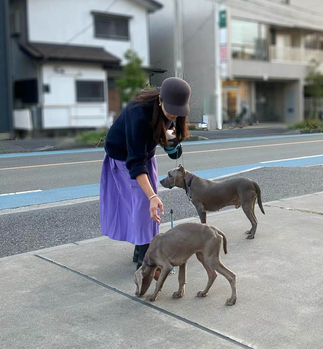 鈴木六夏さんのインスタグラム写真 - (鈴木六夏Instagram)「ビスパピとの気軽な散歩から お洒落感を出したい時にも。  「O boshi 」とにかく活躍します👍🏼 @the9shop_211   最上級ラビットフェルト使用です。 今夜21:00より、再販です😆😆  #riccascloset #riccaミニマムクローゼット」11月11日 14時23分 - rikuka.62