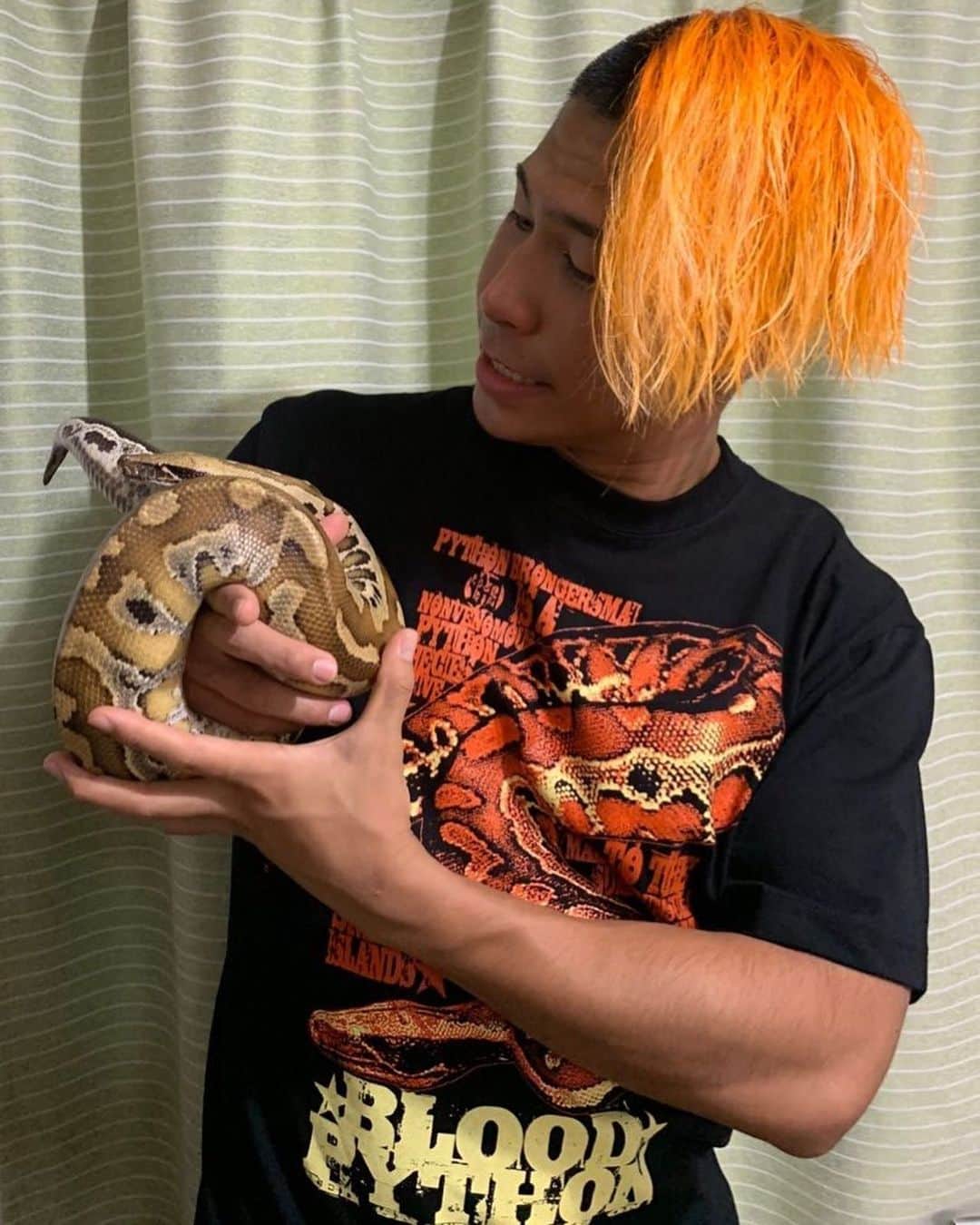 のインスタグラム：「ブラッドパイソンTシャツをGETしたので我が家のマラヤンと撮ってみました！ これぐらい赤く育ってくれればいいなあ😂 #元祖爬虫類レスラー」