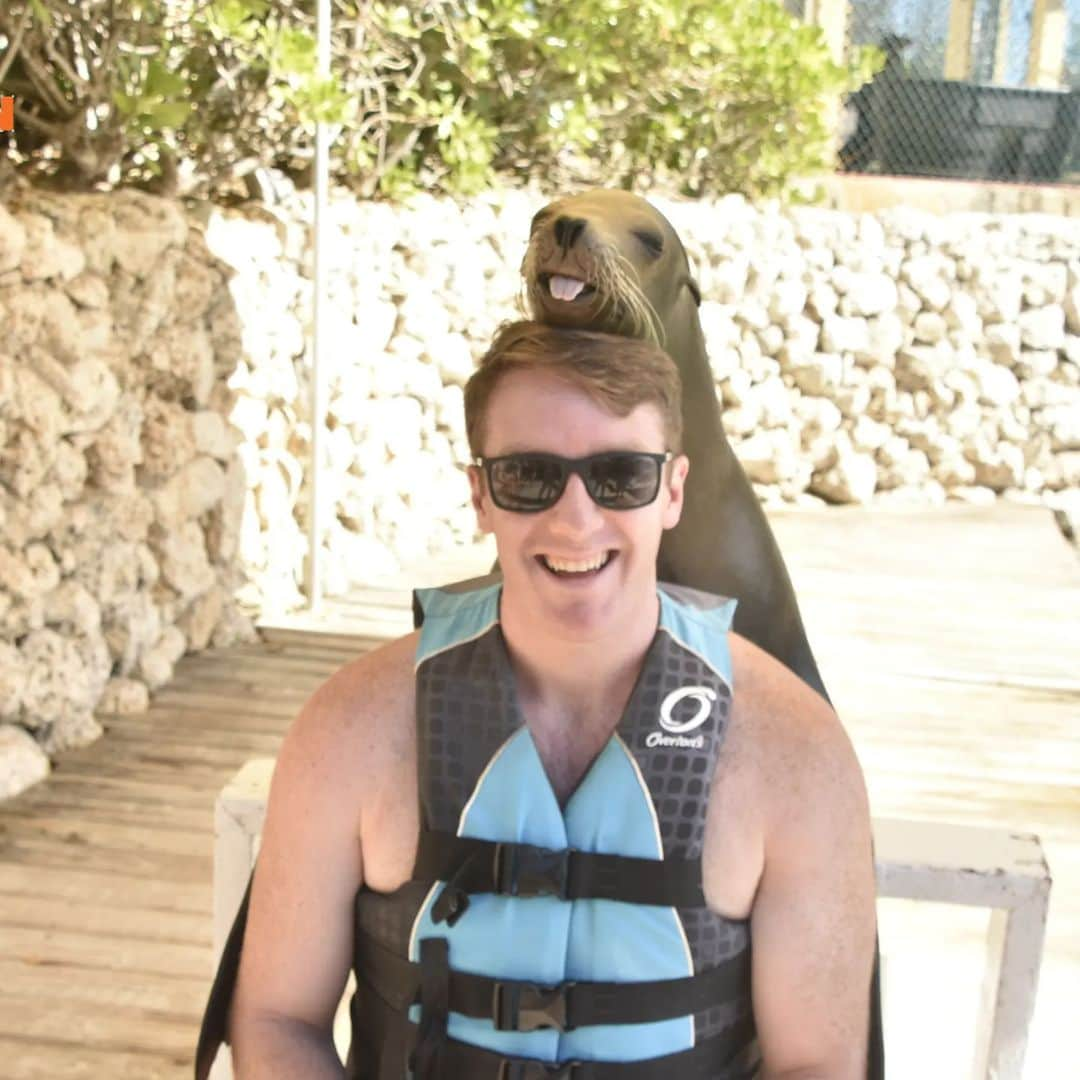 ウェスリー・キリングのインスタグラム：「Fun day at Blue Lagoon with great people! Time to rest and relax with 4 more weeks of this great contract remaining.  . . . #royalcaribbean #bluelagoon #sealion #sealions #friends #nassau #bahamas」