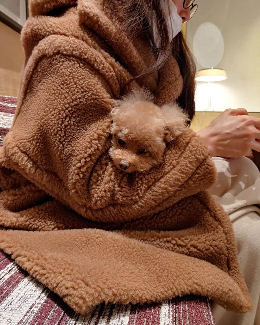 チェ・ジウさんのインスタグラム写真 - (チェ・ジウInstagram)「🐶🧸🤎 편하니?」12月10日 15時48分 - choijivvoo