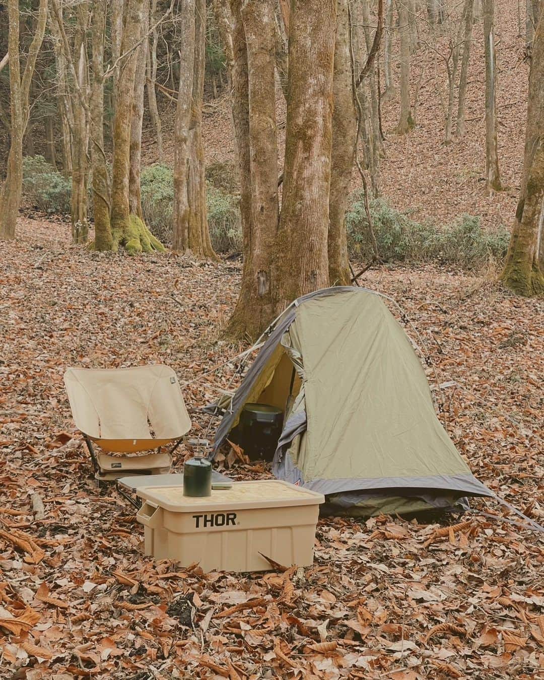 Zyonさんのインスタグラム写真 - (ZyonInstagram)「ソロキャンプ🏕 #マナの加工可愛い」12月10日 15時57分 - zyon0422