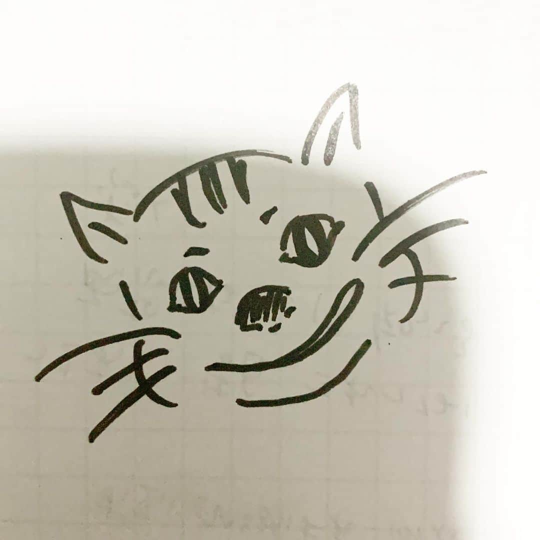 のインスタグラム：「どんとこい」
