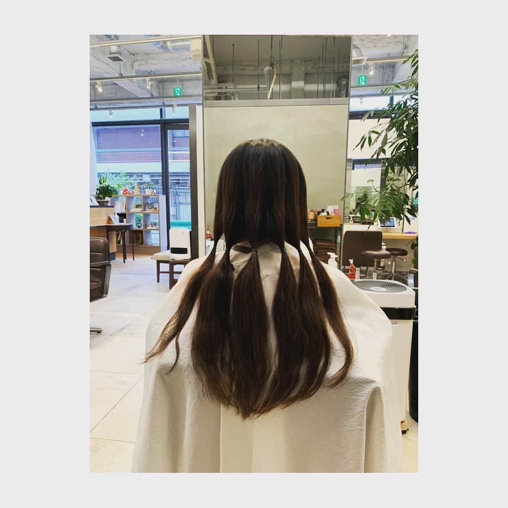 羽咲まなさんのインスタグラム写真 - (羽咲まなInstagram)「ヘアドネーション  長さに問題がなければと美容師さんに相談したところ大丈夫だと言ってくださったので、人生初のヘアドネーションをしました。  誰かの心に寄り添えます様に  日に日に寒くなってきたので、お身体に気をつけてお過ごしください😌🍀  #ヘアドネーション #人生初」12月6日 20時53分 - mana.haza