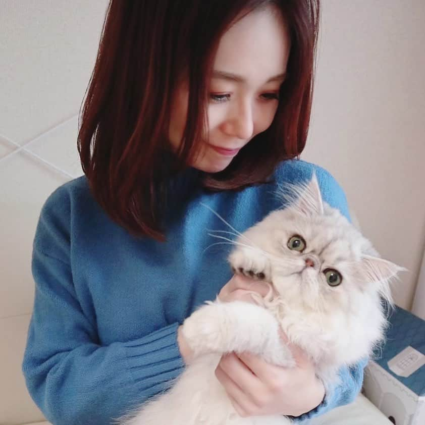 築山可奈さんのインスタグラム写真 - (築山可奈Instagram)「. 猫とわたし。  猫ちゃんと暮らす未来を夢見て… お友達のロココちゃん(@rococo_0620 ) でシュミレーション❤️  ほんとにずっとモフモフしたくなる✨  ずっとかわいい、ずっと癒し…  #猫のいる暮らし #ペルシャ猫 #猫飼いたい #猫アレルギー #癒し #癒しねこ #かわいいがとまらない」12月6日 20時41分 - kana.tsukiyama