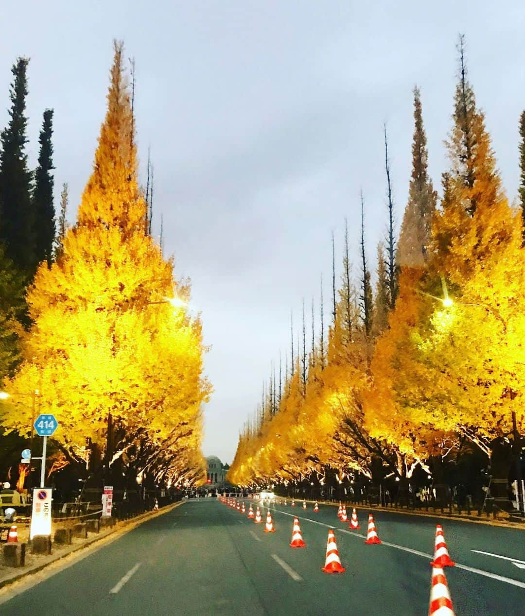 平子理沙さんのインスタグラム写真 - (平子理沙Instagram)「秋の紅葉は最高🍁  #紅葉🍁#lifestyle#fashion#beauty#risahirako #平子理沙」12月6日 20時39分 - risa_hirako