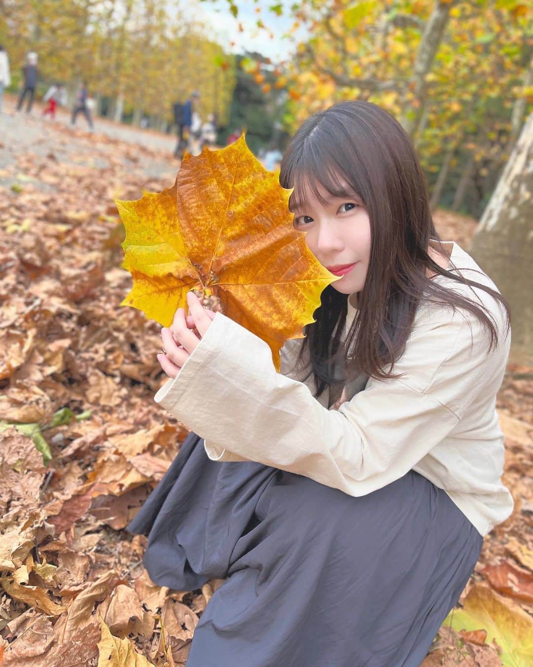 のインスタグラム：「🍁 ㅤㅤㅤㅤㅤㅤㅤㅤㅤㅤㅤㅤㅤ 12月なりましたね＊ 秋から冬へどんどん寒くなってくね⛄️ 風邪ひかないよう気をつけて過ごそうね* ㅤㅤㅤㅤㅤㅤㅤㅤㅤㅤㅤㅤㅤ 今週末は福岡でイベント出演！ 地元だ〜！！楽しみです😌💭💭♡ ㅤㅤㅤㅤㅤㅤㅤㅤㅤㅤㅤㅤㅤ ㅤㅤㅤㅤㅤㅤㅤㅤㅤㅤㅤㅤㅤ ㅤㅤㅤㅤㅤㅤㅤㅤㅤㅤㅤㅤㅤ #instadaily #autumnleaves #11月 #休日の過ごし方 #新宿御苑 #お散歩しました #桜も見つけたので次載せるね #今井瞳」
