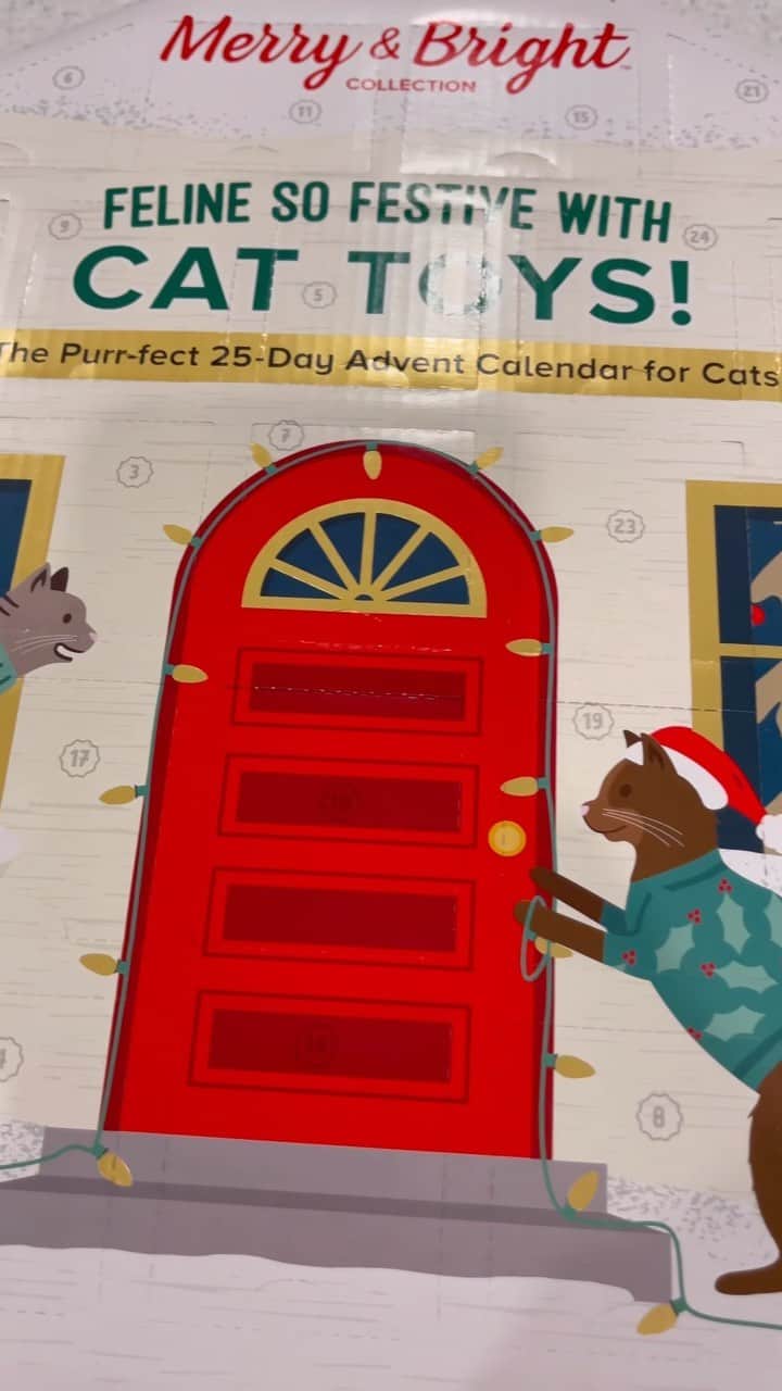 The Cats Of Instagramのインスタグラム：「Day 5 & 6 of our Kitty #AdventCalendar」