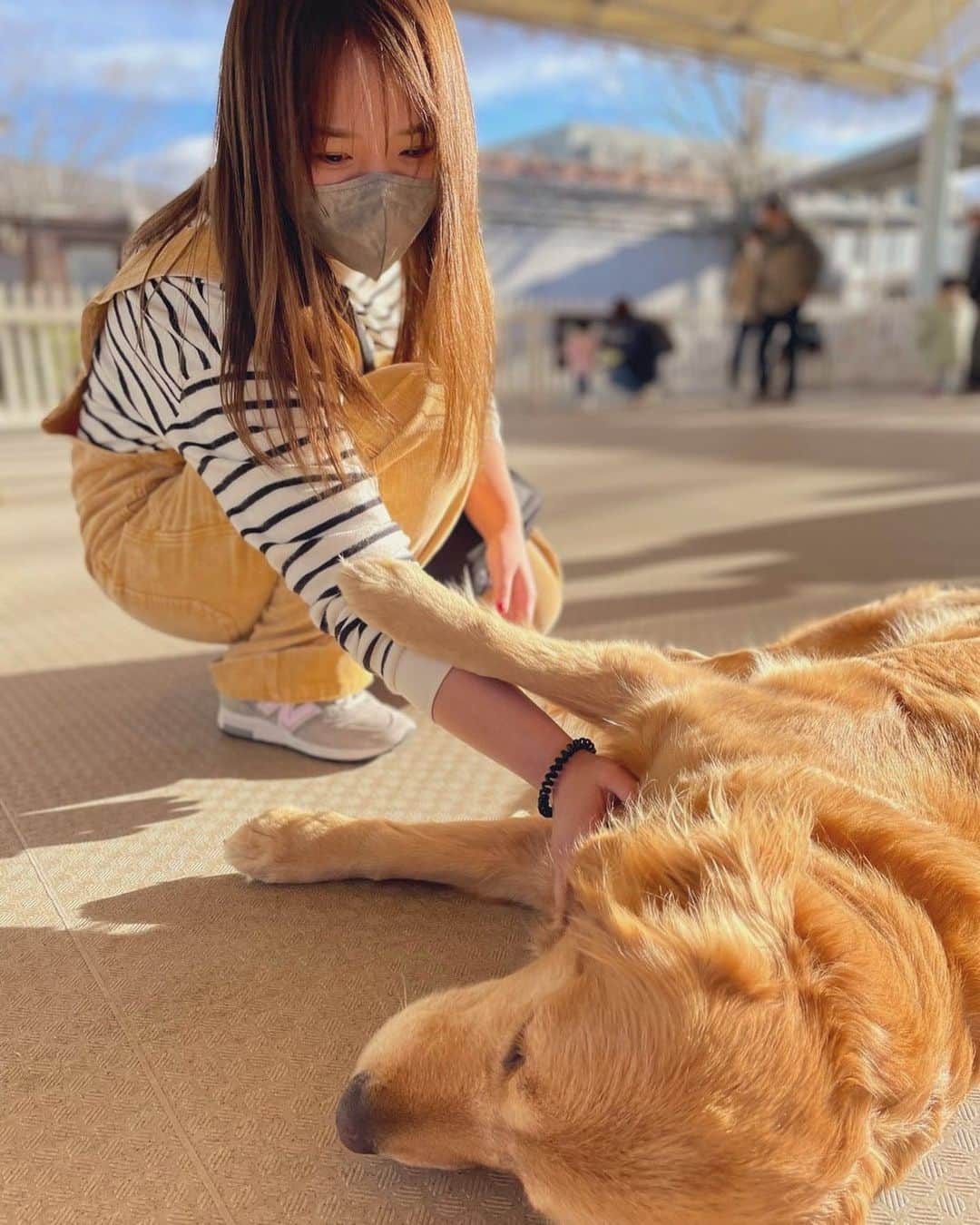 Sareeeのインスタグラム：「loves sunshine and animals 🐶☀️ Sarray is doing well   元気だよー😉🤍」