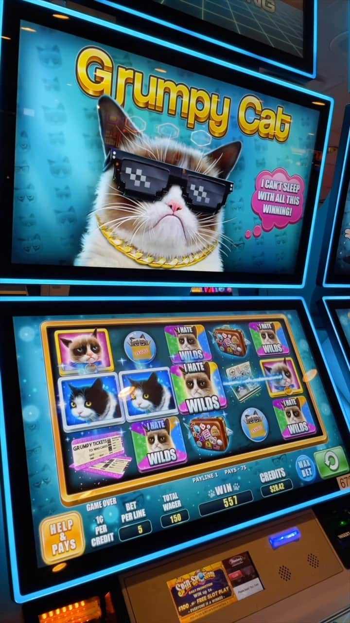 Grumpy Catのインスタグラム：「I hit the jackpot once. It was awful. 🎰   Grumpy Cat slots from @next_gaming_slots are out now and on the floor at @binions_lv and @4queenshotelandcasino in Las Vegas!  Find them for a terrible time! 🎲」