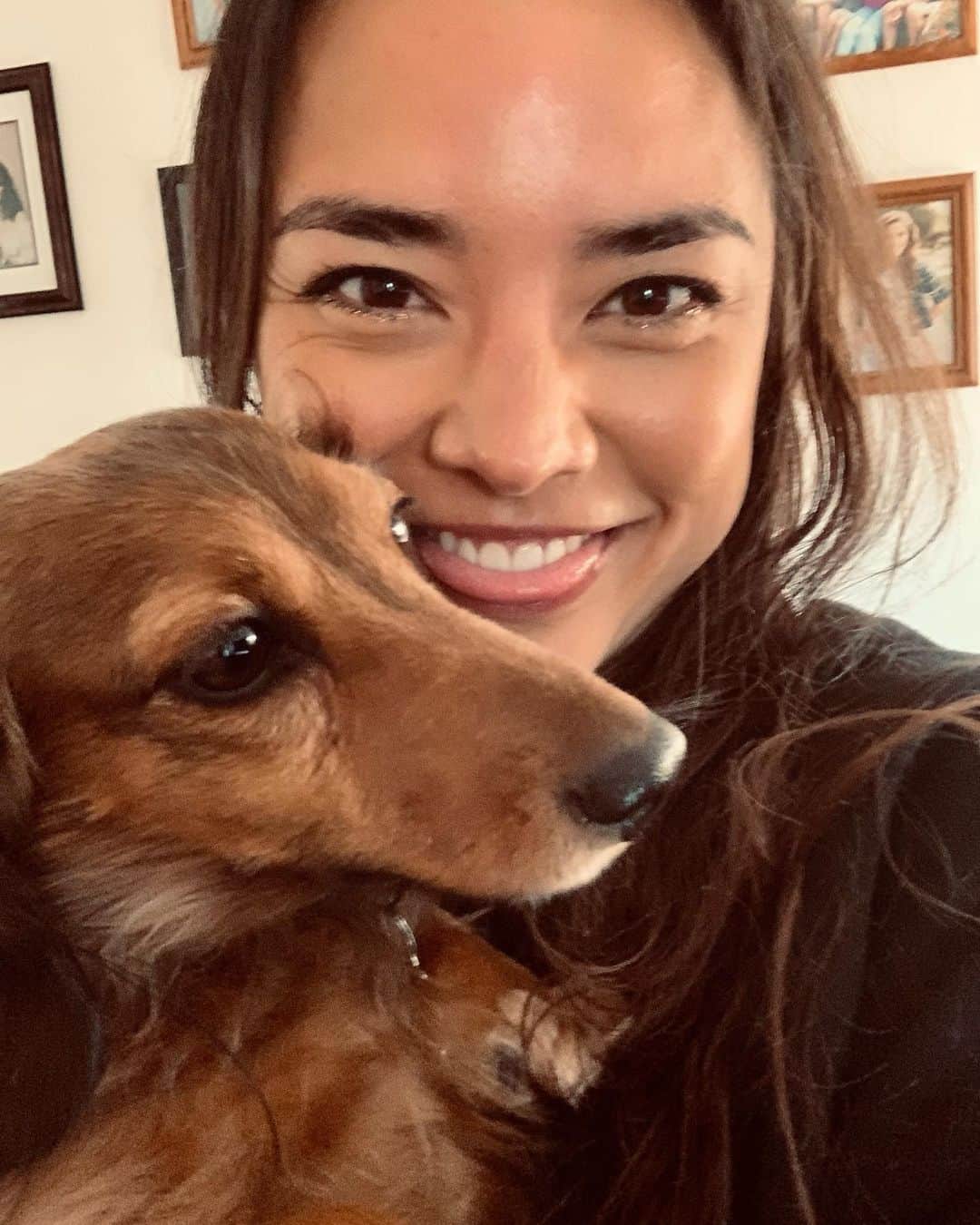 加賀美セイラのインスタグラム：「Cutie #duchshound 🥰🥰🥰」