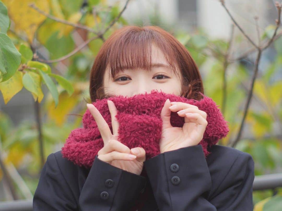 美山加恋のインスタグラム：「カレンダーのオフショット第二弾です！  うん年振りに制服を着ました。 最後に着たのはいつだろう… とあるルートから制服をお借りして撮影しました。笑  さぁ、なんの作品でしょうか‼︎  ぜひカレンダーでチェックしてください☺︎  20周年記念バースデーイベントは今週末11日の日曜‼︎ ぜひ会場にお越しください💁‍♀️✨  チケットはこちらから👇  https://sp.arena.artist-site.jp/feature/?fid=b9620be2514fb5134967b2ddfbd36da5」