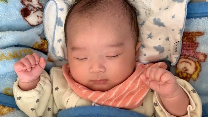 matano Kastaneのインスタグラム：「いびきなのか？寝息なのか？ すごい可愛い😮‍💨」