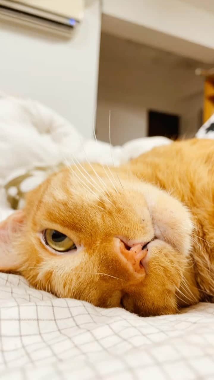 Katetsaiのインスタグラム