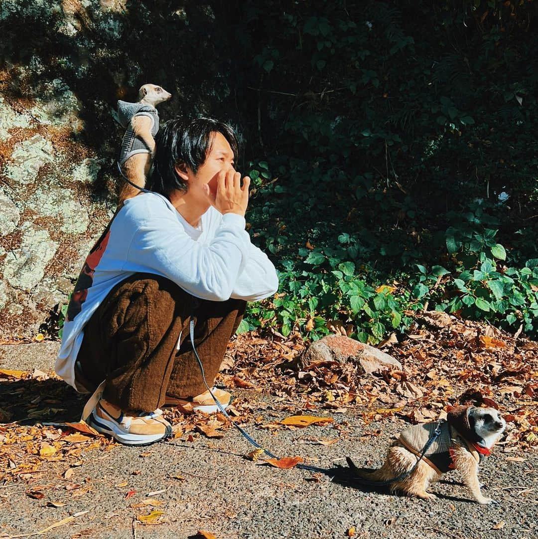 財部亮治のインスタグラム：「朝さんぽの日光浴 #ミーアキャット　#みーあきゃっと #日光浴」