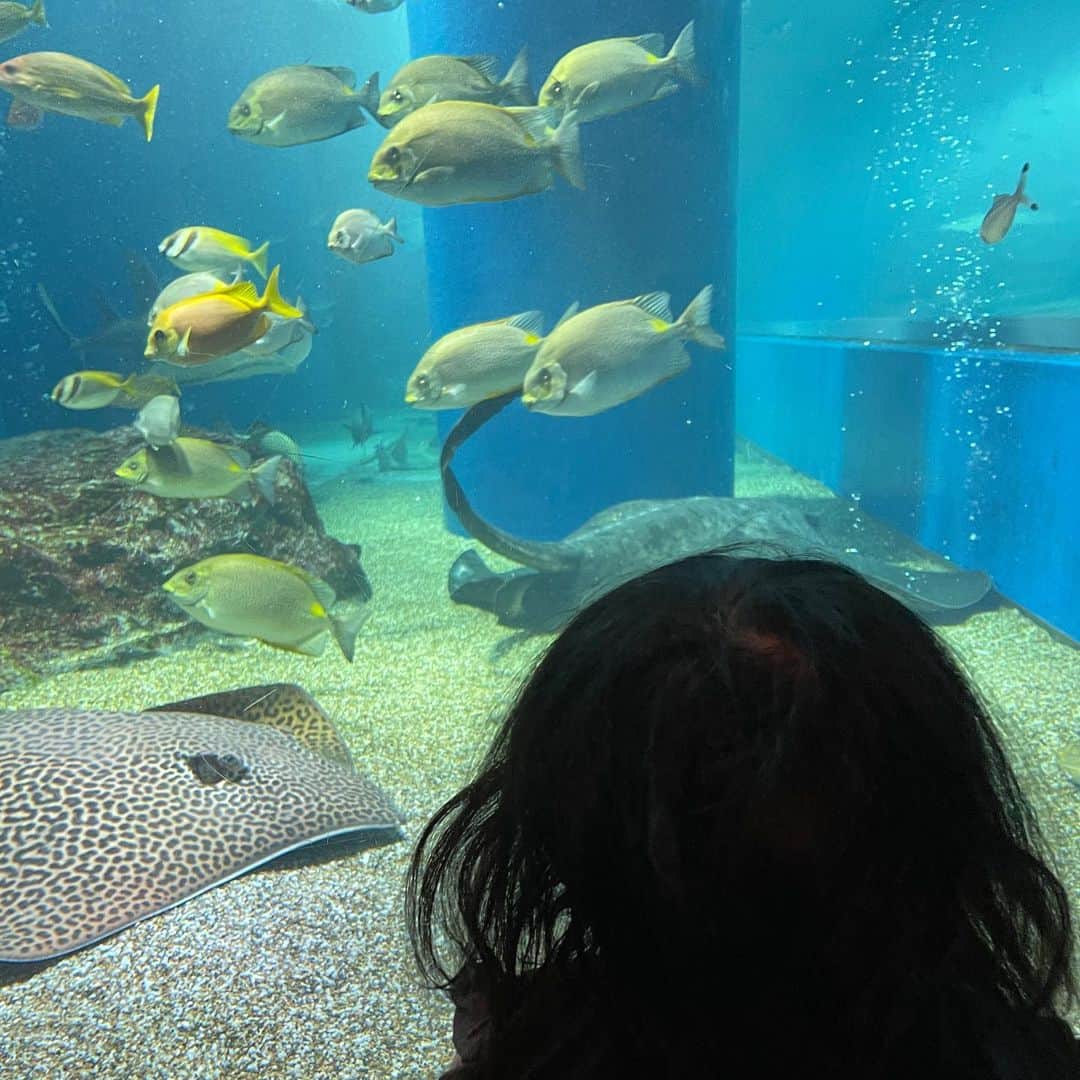 横地尚子さんのインスタグラム写真 - (横地尚子Instagram)「水族館シリーズ🐟🐠🐡 いろんなところ行ったね〜。 ナチュラルな魚より最新技術（？）で光輝くクラゲが好きそうでしたw  今日も何気ない幸せをありがとうございます🙏だいじだいじ🙏  その背丈でしか見えない発見を逐一わたしに教えてね🙏」12月7日 22時08分 - yocochiin