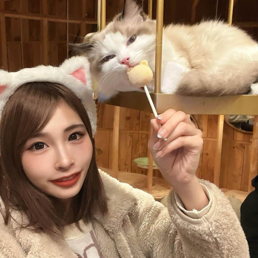 ひなぴーまるさんのインスタグラム写真 - (ひなぴーまるInstagram)「人生初の猫カフェ🐈 @mocha_akihabara 行ってきました！猫に囲まれ空間すぎて動物好きには最高空間🫶😹  #猫カフェmocha #猫カフェ #pr #秋葉原猫カフェ #秋葉原カフェ」12月7日 22時11分 - hinyan33