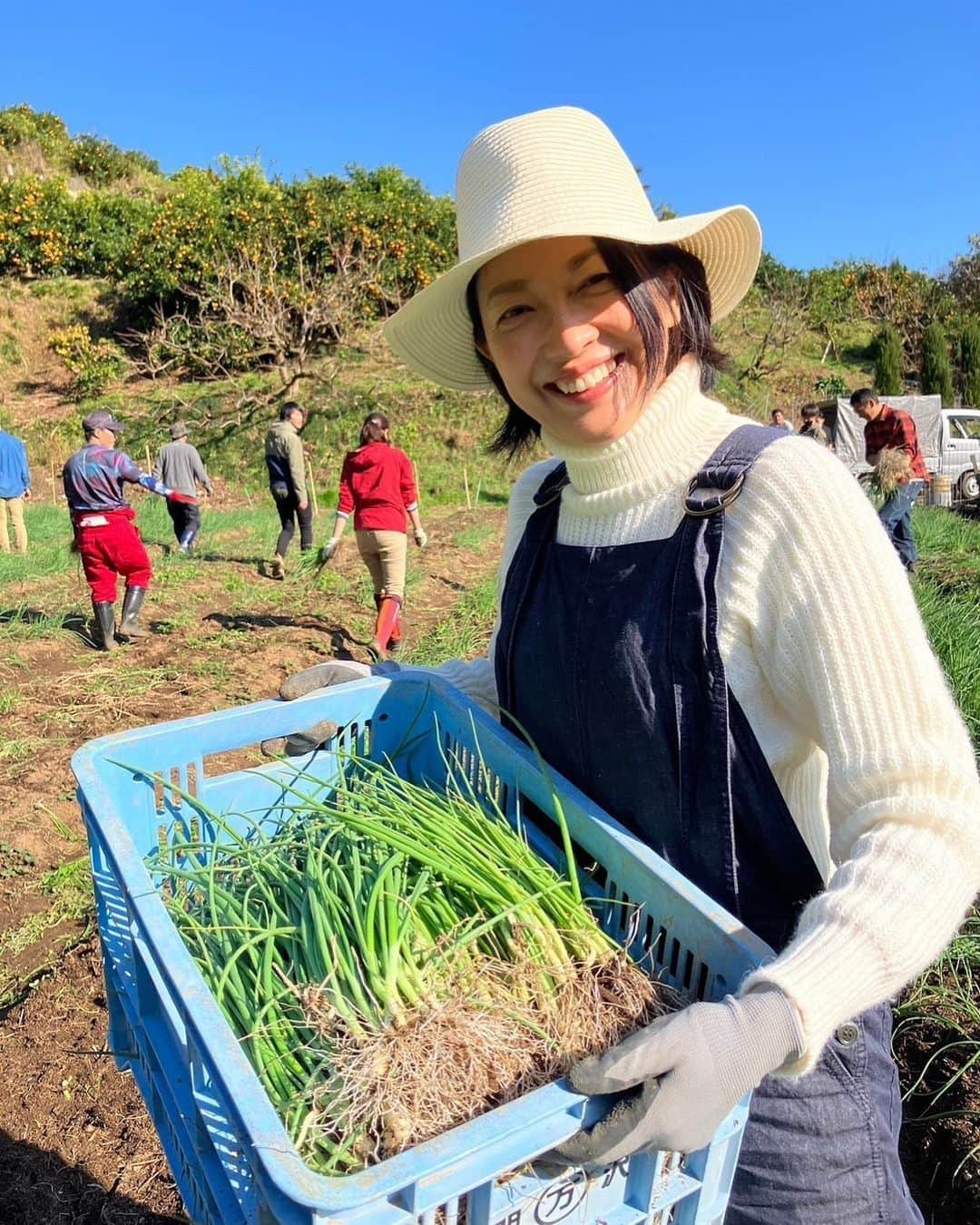 羽田美智子のインスタグラム：「今年も下中玉ねぎの苗植えのお手伝いに小田原に行ってきました🧅  今年は苗の収穫も初トライ❗️ 苗の収穫、スルッと抜けて楽しかったです❣️  美味しい下中玉ねぎが来年のGW当たりに収穫できると思います‼️ 楽しみにしててくださいね🧅🧅🧅  ところで明日の夕方 19時から原沙知絵ちゃんと初のインスタライブをすることになりました❣️  もし良かったらチャットなど送ってくださいね‼️  #下中玉ねぎ #羽田甚 #羽田甚商店」