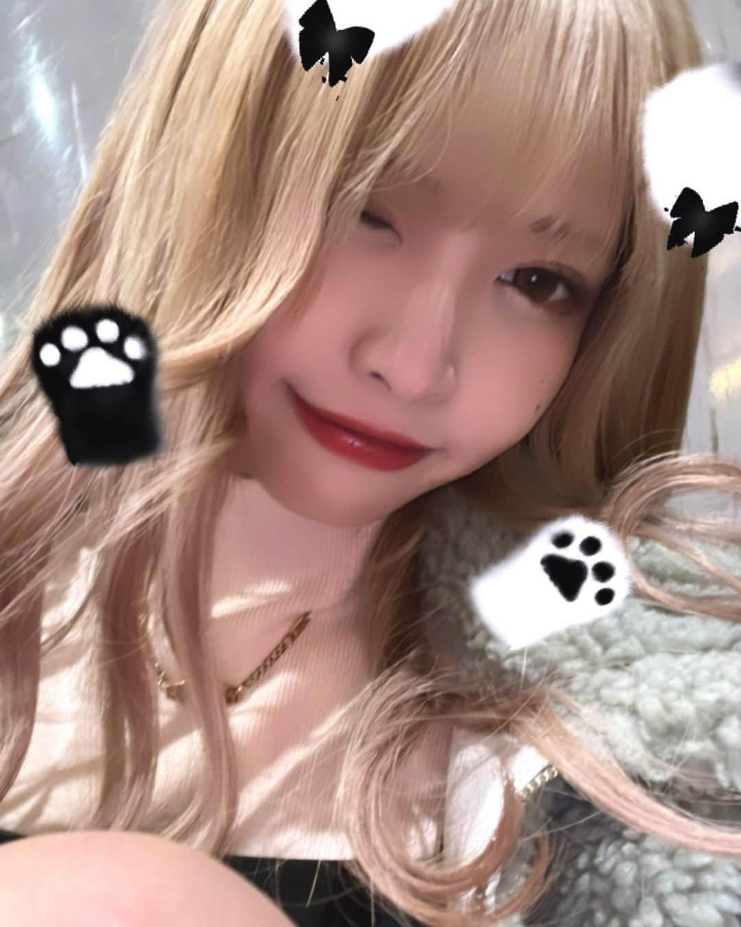 向葵まるさんのインスタグラム写真 - (向葵まるInstagram)「ねこさん^._.^」12月7日 23時21分 - natamaru041