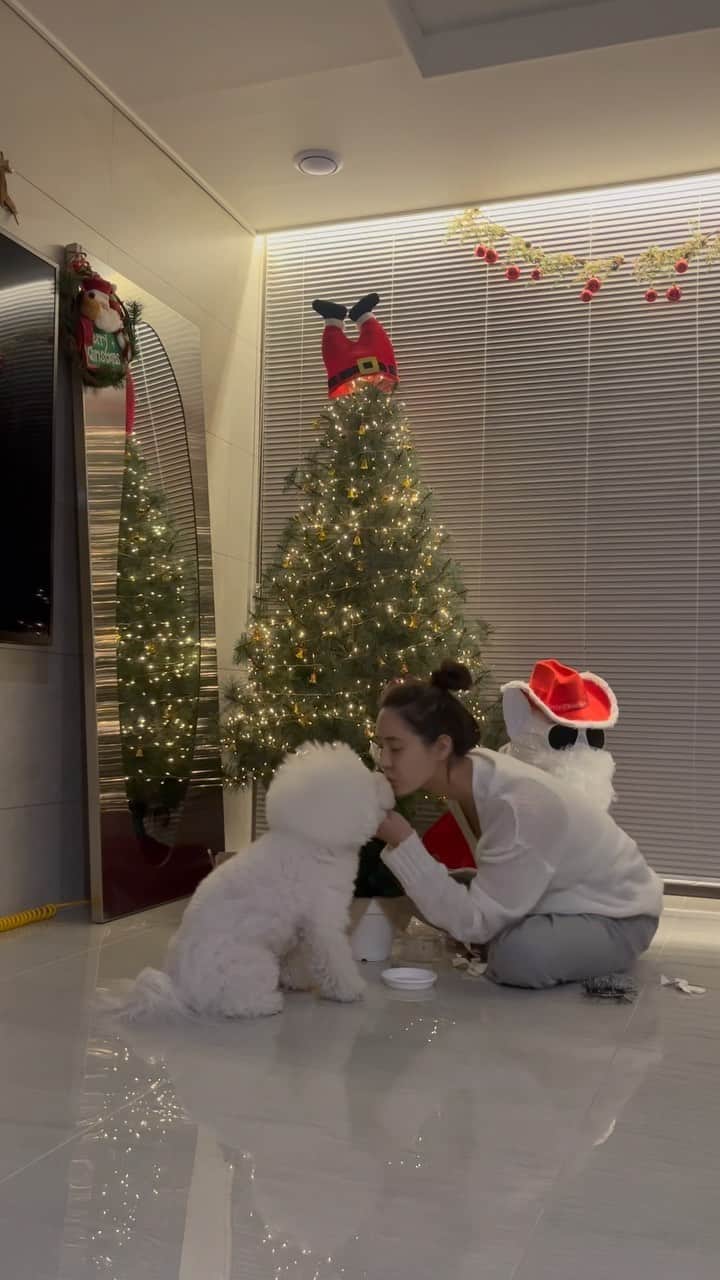 キム・ボラムのインスタグラム：「저희 집은 벌써 크리스마스🎄  #그리밋  #미니트리」
