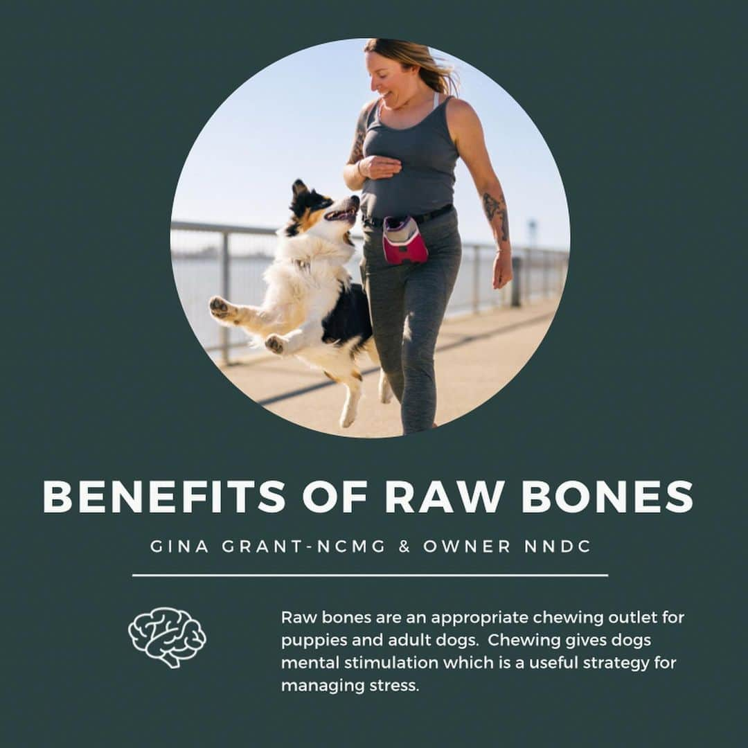 Dogs by Ginaのインスタグラム：「We love feeding our dogs raw bones! And for good reason, slide to read why in this educational post! Come in today or any day 9-5 to pick up a few bones for your pets too!」