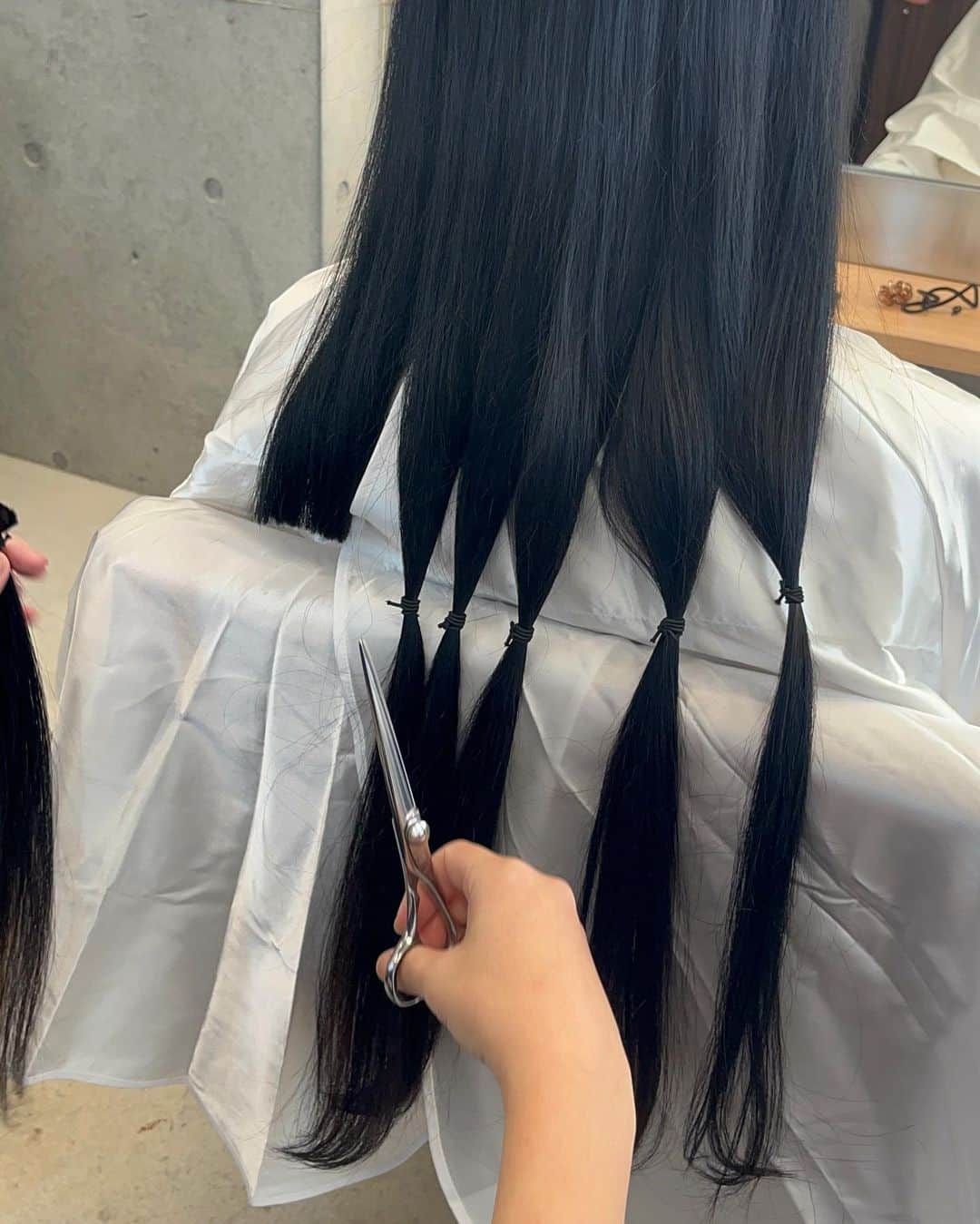 黒木瞳さんのインスタグラム写真 - (黒木瞳Instagram)「🕊🫧 ⁡ 4年間伸ばした髪をバッサリ！✄ ヘアドネしました🪡🦭 ⁡ ももちゃんありがとう🤍」12月8日 17時45分 - hitomikofficial