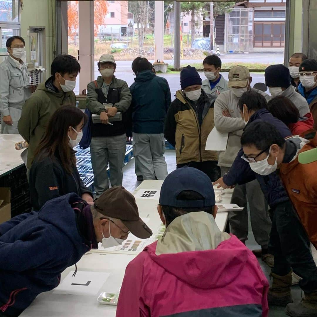 ＪＡ北魚沼（北魚沼農業協同組合）さんのインスタグラム写真 - (ＪＡ北魚沼（北魚沼農業協同組合）Instagram)「#北魚沼の今を伝えたい 2022.12.8 ． 全国の #うるい ファンの皆様お待たせしました✨  #魚沼うるい の出荷が今月より始まりました！  #しゃきしゃき よりも #しょきしょき という表現がぴったりな歯ごたえを是非とも味わっていただきたいです😋  先日、うるい生産組合の皆さんが集まり出荷規格やパック詰めの際の注意点などを確認しました📝春先まで出荷が続きます！ ． #魚沼産うるい #山菜 #魚沼の山菜 #野菜とも山菜とも #二刀流  #やみつき食感 #病みつきになる #山菜ファンを増やしたい  #うるいしょきしょき #うるいのおひたし  #イタリアン食材 #イタリアン料理 #フレンチ食材 #フレンチ料理 #万能食材 #おいしいごはん #uonuma_japan #uonuma_pic  #うおぴく #niigatapic #農業jp  ． #新潟県 #魚沼市  #長岡市川口　 #JA北魚沼」12月8日 17時47分 - jakitauonuma_official