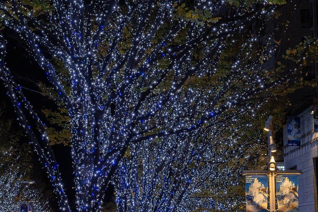 斧口智彦のインスタグラム：「きらっきらなんだよ！  #写真好きな人と繋がりたい #カメラ好きな人と繋がりたい #ファインダー越しの私の世界 #photooftheday #photography #japan」