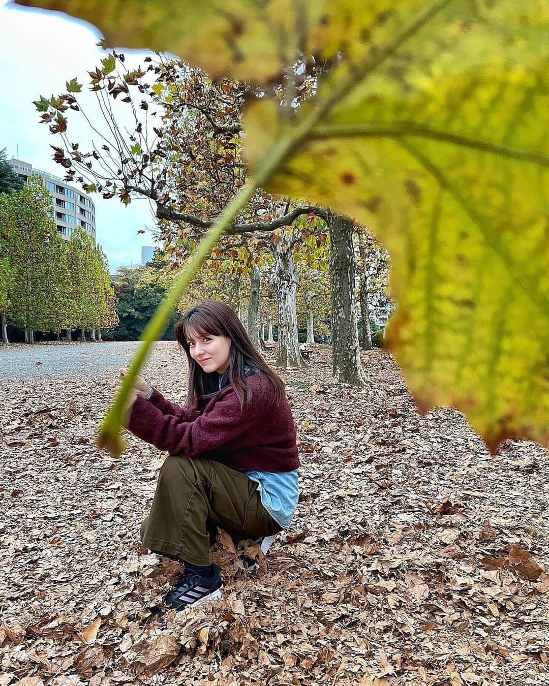 藤井美菜のインスタグラム：「. 新宿御苑の紅葉、美しかったです。遠近法を使っての紅葉撮影も、やりたかったので、トライできてハッピーでした🤣🍁 신주쿠교엔 단풍, 너무나 아름다웠네요. 원근법을 사용한 이 단풍 촬영법도 도전을 해보고싶었으니 너무나 기뻤어요🤣🍁  #YouTubeも見てね #日本#東京#新宿#新宿御苑#紅葉#新宿御苑の紅葉#秋の香り#遠近法#プラタナス #일본#도쿄#신주쿠#신주쿠교엔#단풍#단풍놀이#도쿄단풍#Autumnleaves #japan#tokyo#shinjuku#shinjukugyoen#autumn」