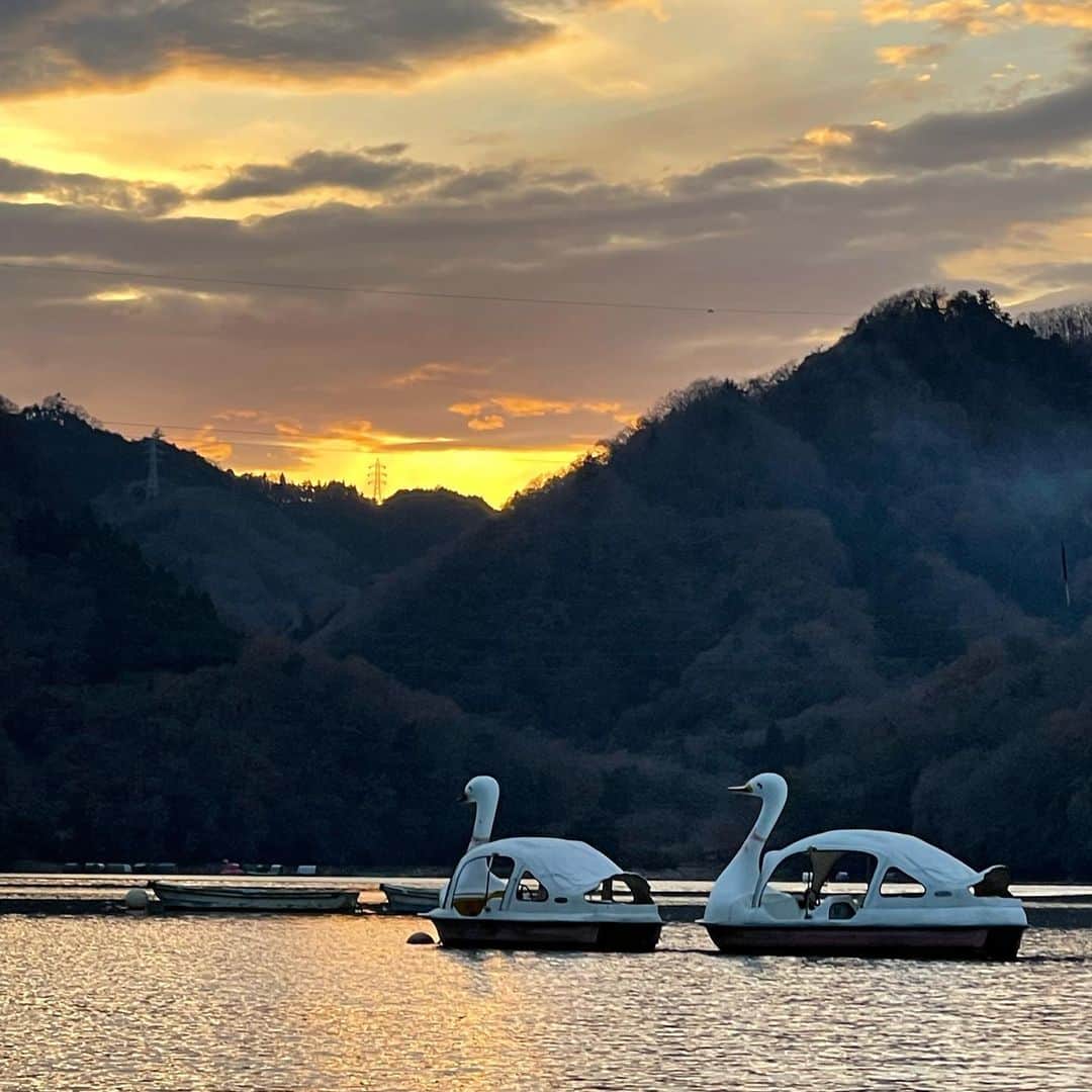 のインスタグラム：「かわいいスワン🕊‎🌅🌊」
