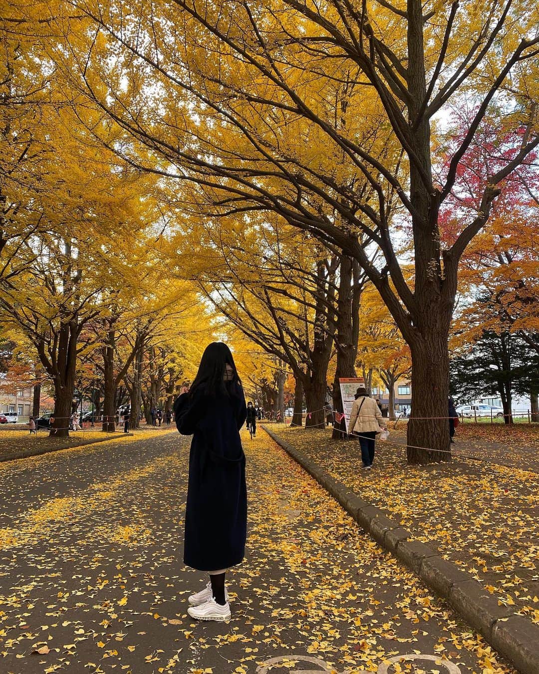 湯浅なるせのインスタグラム：「🍁🍂」