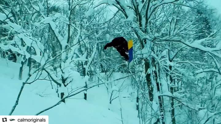 平岡卓のインスタグラム