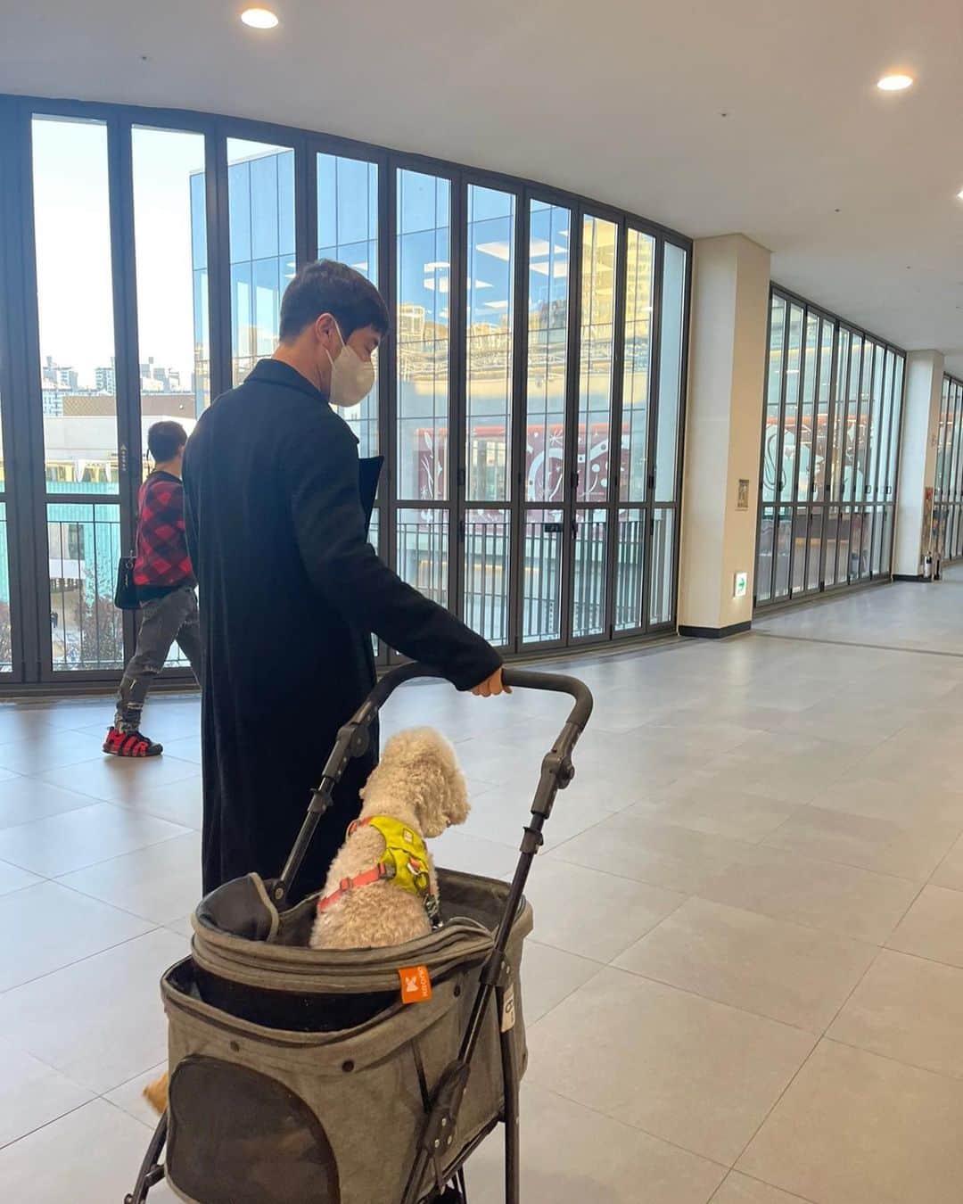パク・ジュヒョンさんのインスタグラム写真 - (パク・ジュヒョンInstagram)「딱히 할 필요 없었던 개모차투어 #베들링턴테리어」12月9日 13時36分 - qkrwngud