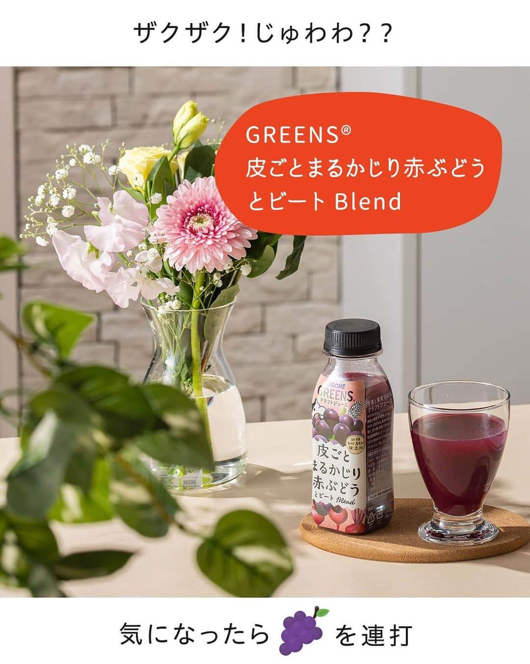 KAGOME GREENSのインスタグラム：「＼「飲んでみたい！」と気になったら「🍇(ブドウ)」の絵文字をコメント欄に押して、飲みたいレベルを表してください！／【GREENS 皮ごと丸かじり赤ぶどうとビートBlend】  「GREENS 皮ごと丸かじり赤ぶどうとビートBlend」は、皮ごと丸かじりするようなぶどうの食感が味わえる #クラフトジュース ♪  大小さまざまにクラッシュされた、 #野菜 と #果実 の食感が特徴です♡ 「GREENS®」シリーズは熱をできるだけかけない低温殺菌製法で作っているので、素材の新鮮さも感じられます！  さらに野菜と果実そのままのおいしさや、美しい色や香りも存分に楽しむことができるんです♪ ぜひ手に取ってみてくださいね♡  #カゴメ #おうち時間 #おうちカフェ #kagomegreens #greens #グリーンズ #カゴメグリーンズ #kagome #ジュース #野菜ジュース #食感 #素材の味を楽しむ #果物 #ぶどう #ビート #まるかじり #丸かじり」