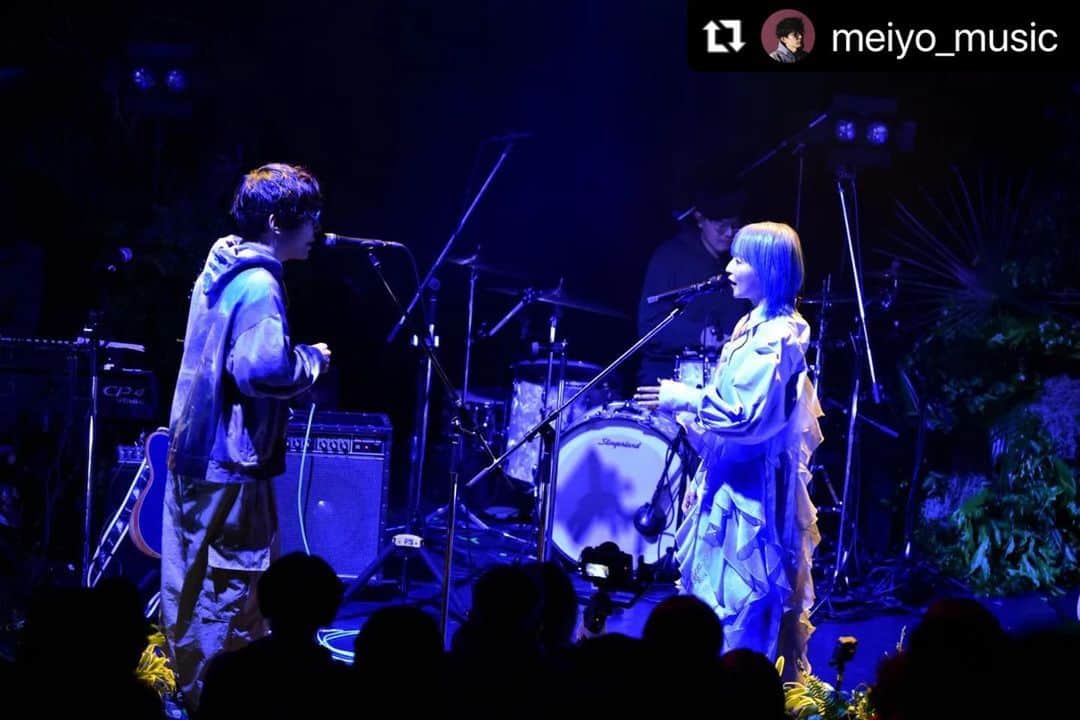 PORINのインスタグラム：「客演ではmeiyoくんが登場。 ファーストテイクでは背中合わせで歌ってたふたりが、昨日は向かい合って。 いつもありがとう〜🌲  #Repost @meiyo_music with @use.repost ・・・ 2022.12.08 渋谷WWW 「Pii × iiiii 〜 庭に集う 〜」 ゲスト出演してきました。ラリー、ラリーとヒノキノキを共に演奏。  Piiも、バンドメンバーiiiiiも、ヒノキノキポーズを真似して奇しくもiiiiiiiiiiiiiiiiiみたいになってたお客さんたちも、最高だったね🌲  photo by:Ryota Haraguchi」