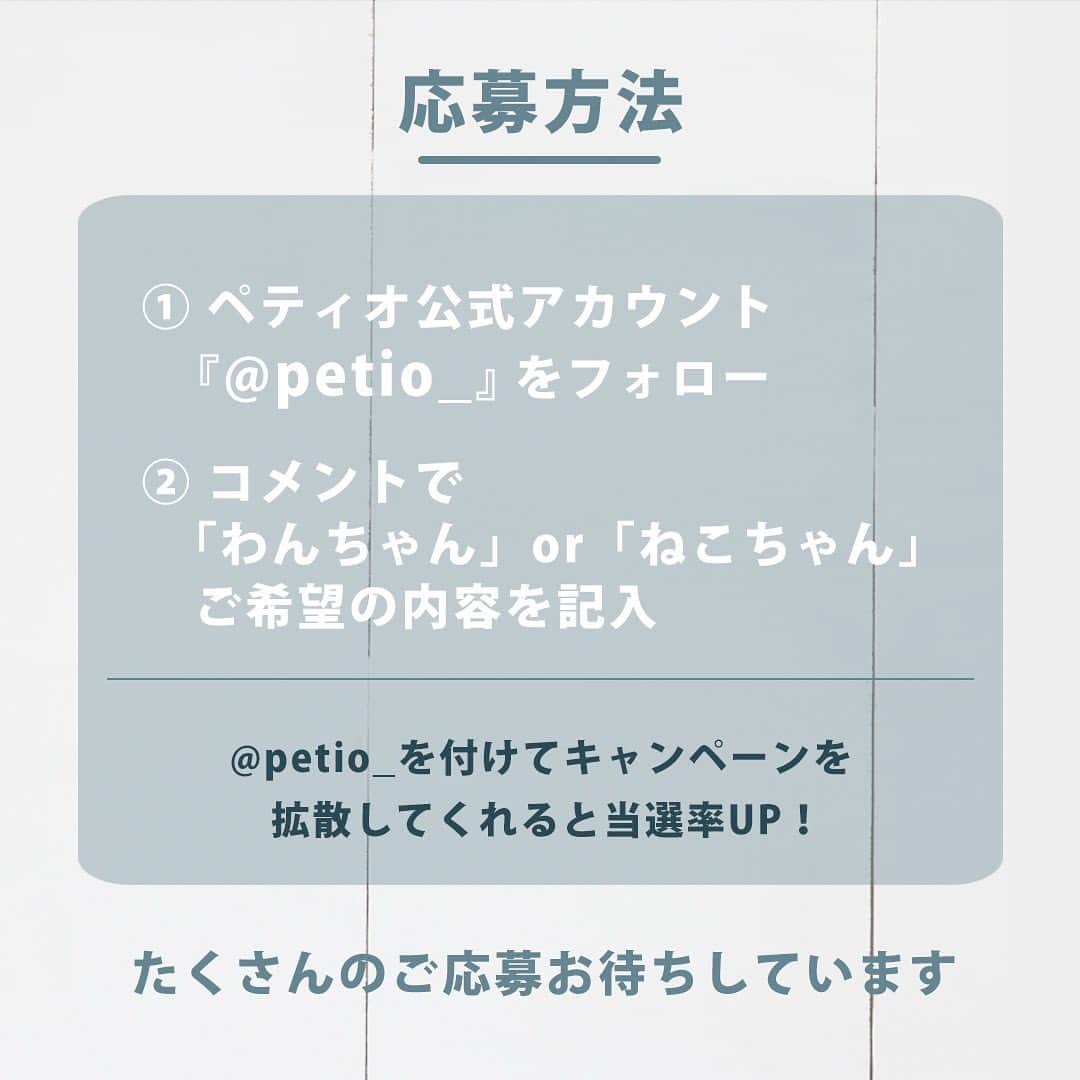 Petioさんのインスタグラム写真 - (PetioInstagram)「\Thanks Pets Day💛プレゼント企画のお知らせ/  大変お待たせいたしました！！  11月22日ワンワン•ニャンニャンデーの Insta LIVE紹介したPetio2022AWの人気注目アイテムをランダムで12名様にプレゼント🎁  応募方法は簡単2STEP✨ ①@petio_ をフォロー🤝 ②「わんちゃん」or「ねこちゃん」どちらのアイテムが欲しいかコメント✏️  💡@petio_ をメンションしてキャンペーンを拡散していただくと当選確率UP！  応募締切は2022.12.20  期間は短いですが、みなさんのたくさんのご応募お待ちしています🎁✨  #petio #ペティオ  #プレゼント企画 #プレゼントキャンペーン  #present #thankspetsday #うちの子  #いぬ #犬 #イヌ #わんこ #ねこ #猫 #ネコ #にゃんこ #応募 #わんこグッズ #にゃんこグッズ #おすすめ」12月9日 18時13分 - petio_