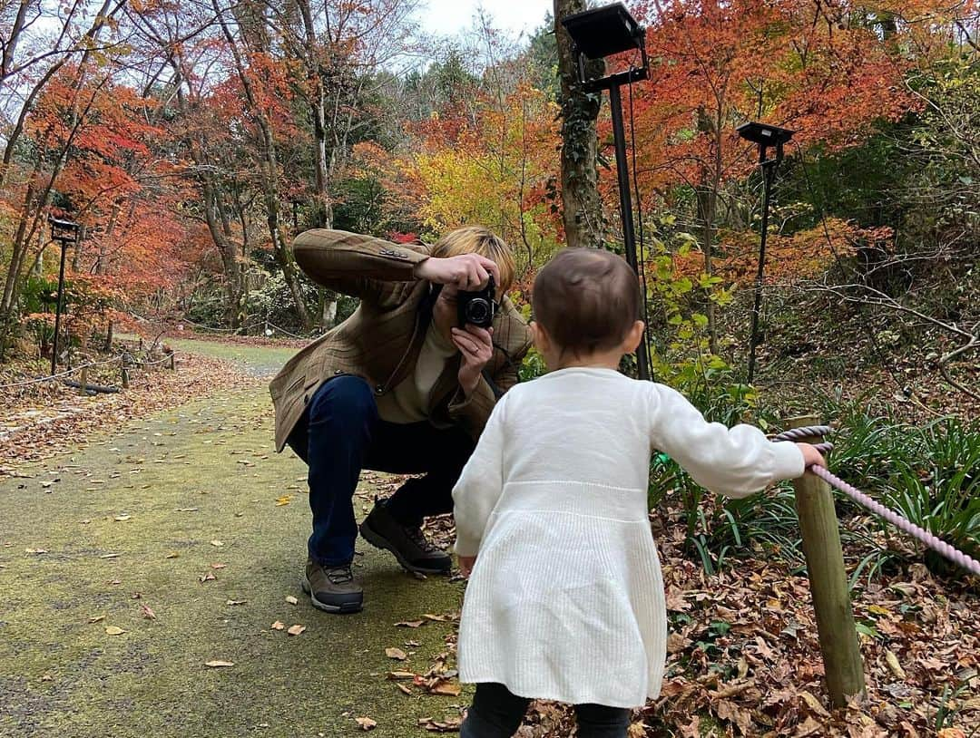 くぼたみかさんのインスタグラム写真 - (くぼたみかInstagram)「Beautiful red leaves and holiday decorations 2022🍁✨❤️  季節ごとのイベントは子連れで大変でも楽しみたい派✨帰ってくると大体疲れてるけど、それでも心が満たされるー😍  御殿場の時之栖は広すぎず、でも綺麗だしたくさん歩けるし子連れにちょうどよかった🙆‍♀️❤️  ダディがたくさんいい写真撮ってくれました♪📸」12月9日 18時16分 - mikakubota0923