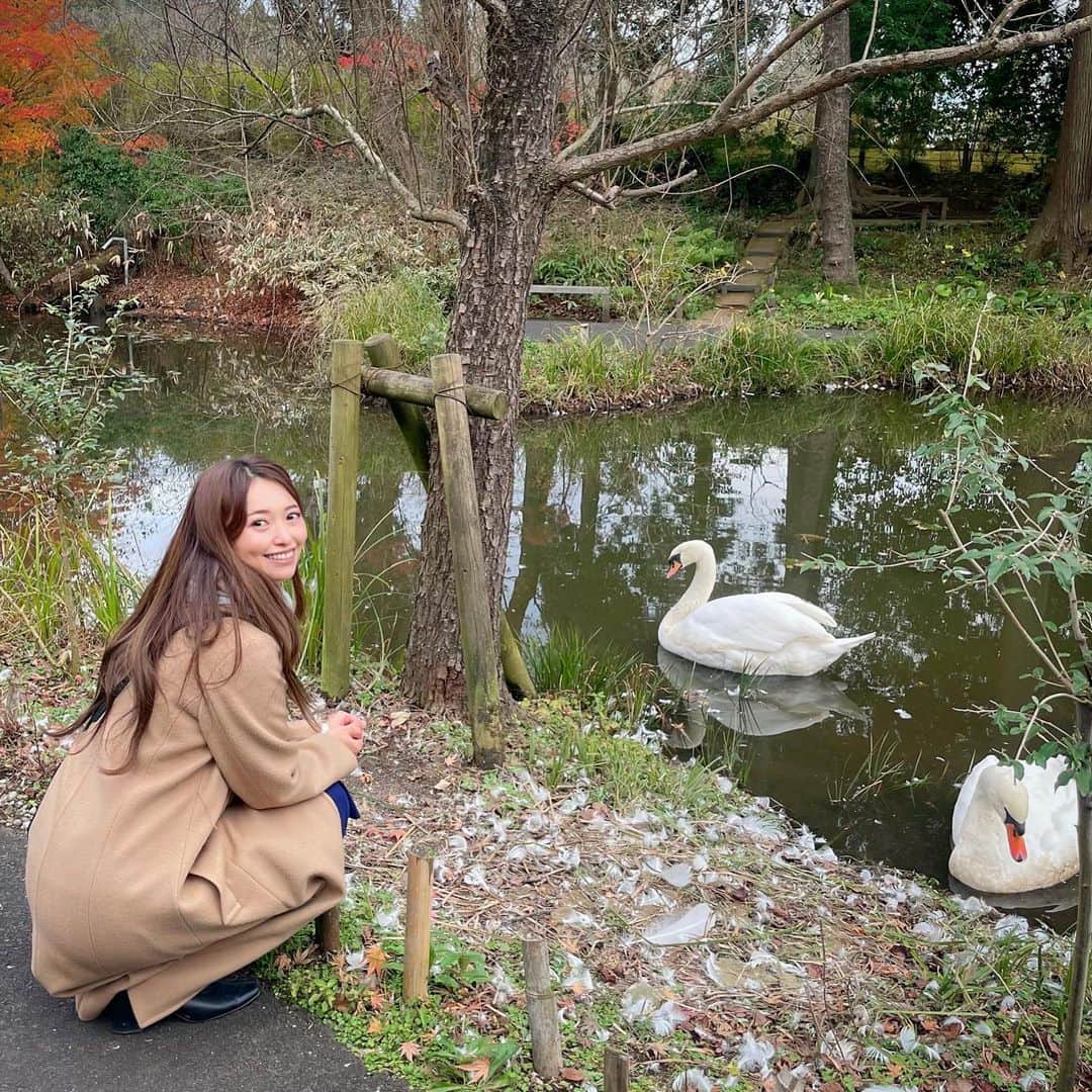 黒澤ゆりかのインスタグラム：「お義母さんと芸術の秋堪能してきました☺️  こんな素敵なところがあるの知らなかったぁー！！😳  人もいなくてゆったりと過ごすことができました。　 この時は私達だけしかおらず白鳥さんは寄ってきてくるサービス付き笑  なので、  写真テーマは私のお庭で飼ってる子達🦢です😂笑  来年の春、夏あたりもこようかな😌  穴場で教えたくないー！ 教えるけどね😆笑  地元の方はよく知ってるし いらっしゃってるのかな？？😌  私千葉県民だったのに知らないところ多いなぁ🙄  #芸術の秋」