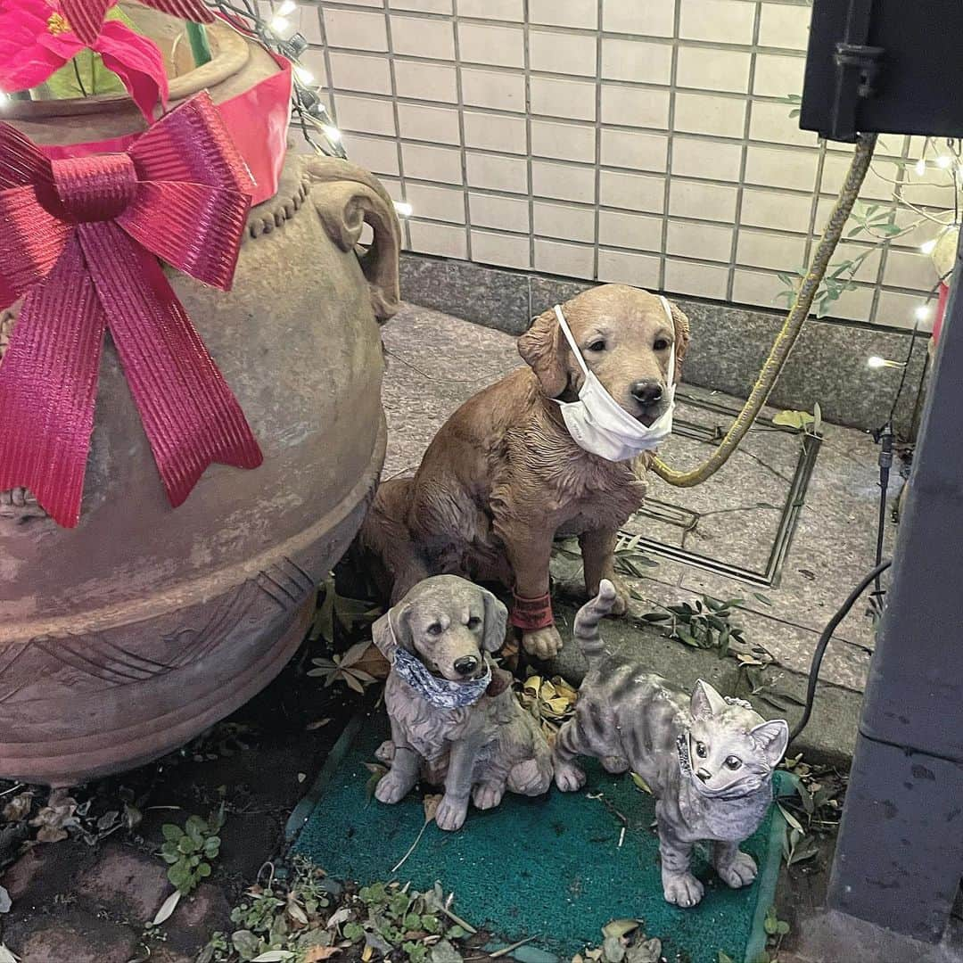 向日えなのインスタグラム：「🎄」