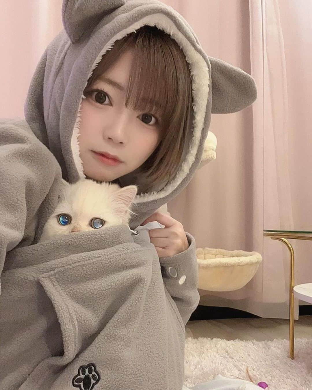 羽咲みはるのインスタグラム：「エルくん🐱の目が 映り方で謎に青になった💙 ドラゴン🐉感😂😂  これは猫ちゃんが入るパーカー💓 #にゃんパーカー #猫パーカー  あたたかいです☺️  #ミヌエット#猫　 #cat #ねこ #ねこすたぐらむ」