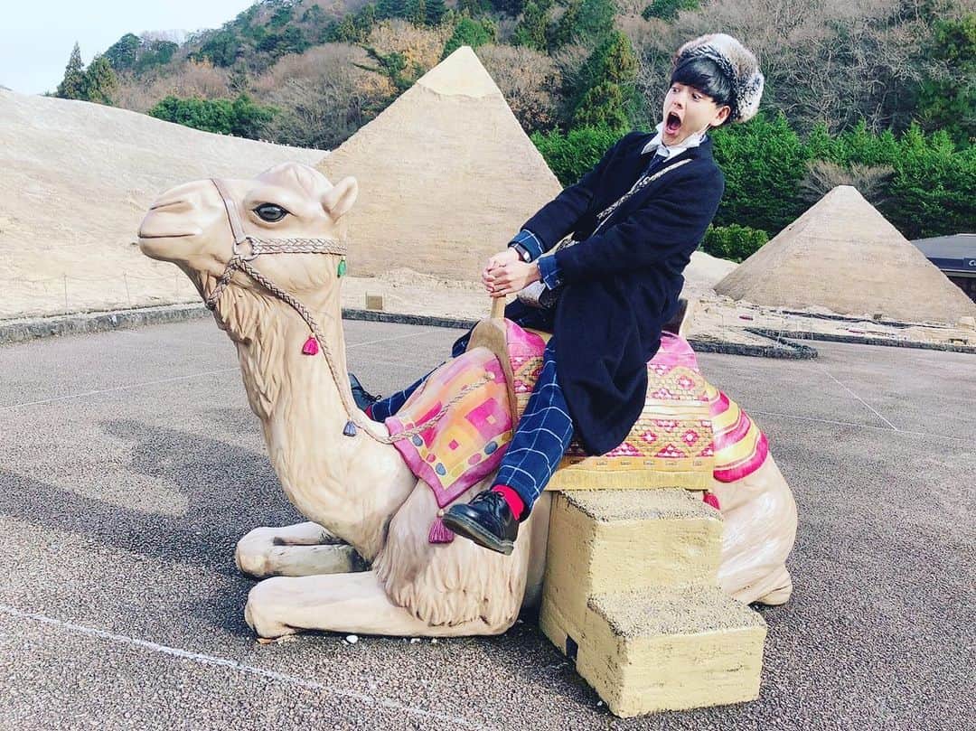 原浩大のインスタグラム：「ずっと行きたかった  東武ワールドスクウェア  あしかがフラワーパーク  制覇！  #おもしろ観光客フェイス #おもしろラクダの乗り方 #お笑いと関係ないただの旅の思い出」