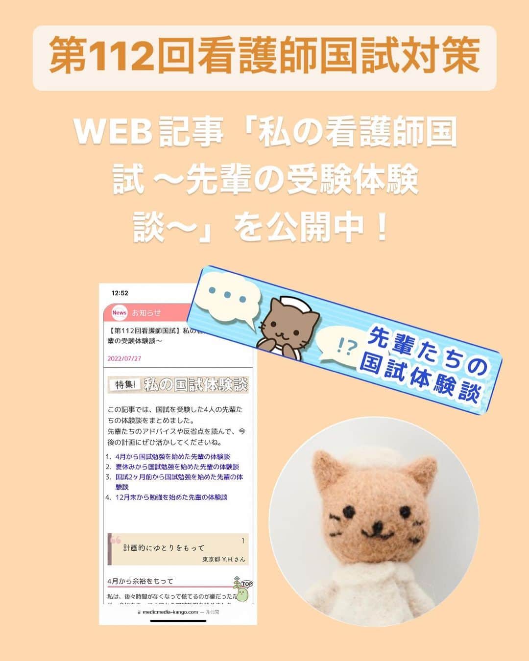 ネコナースのインスタグラム