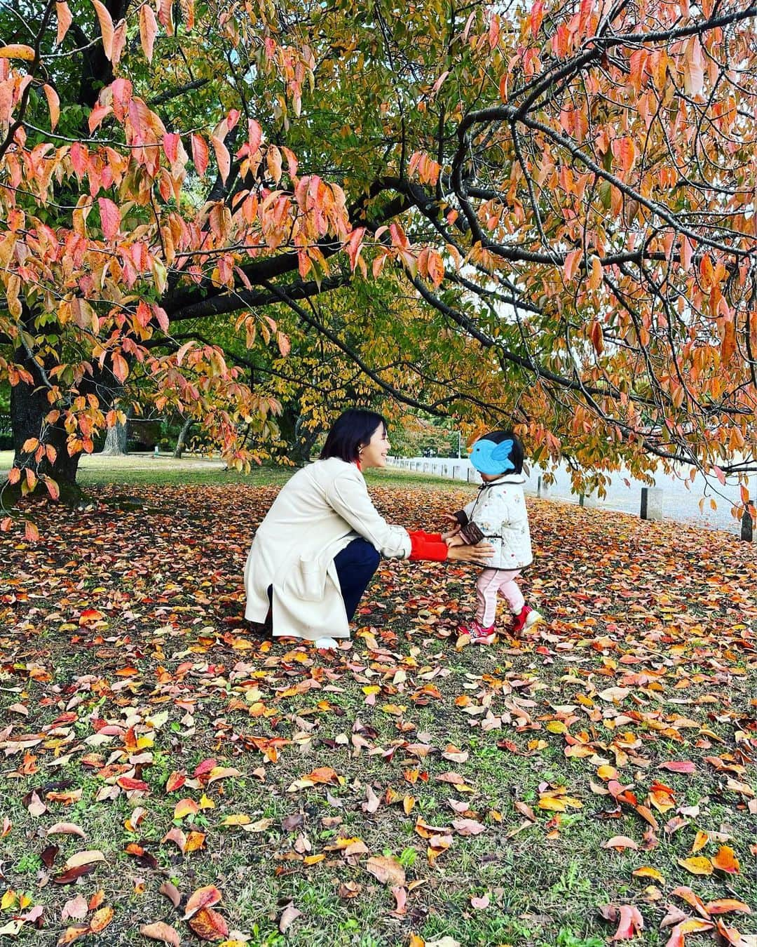 原田まりるのインスタグラム：「紅葉狩り🍁」