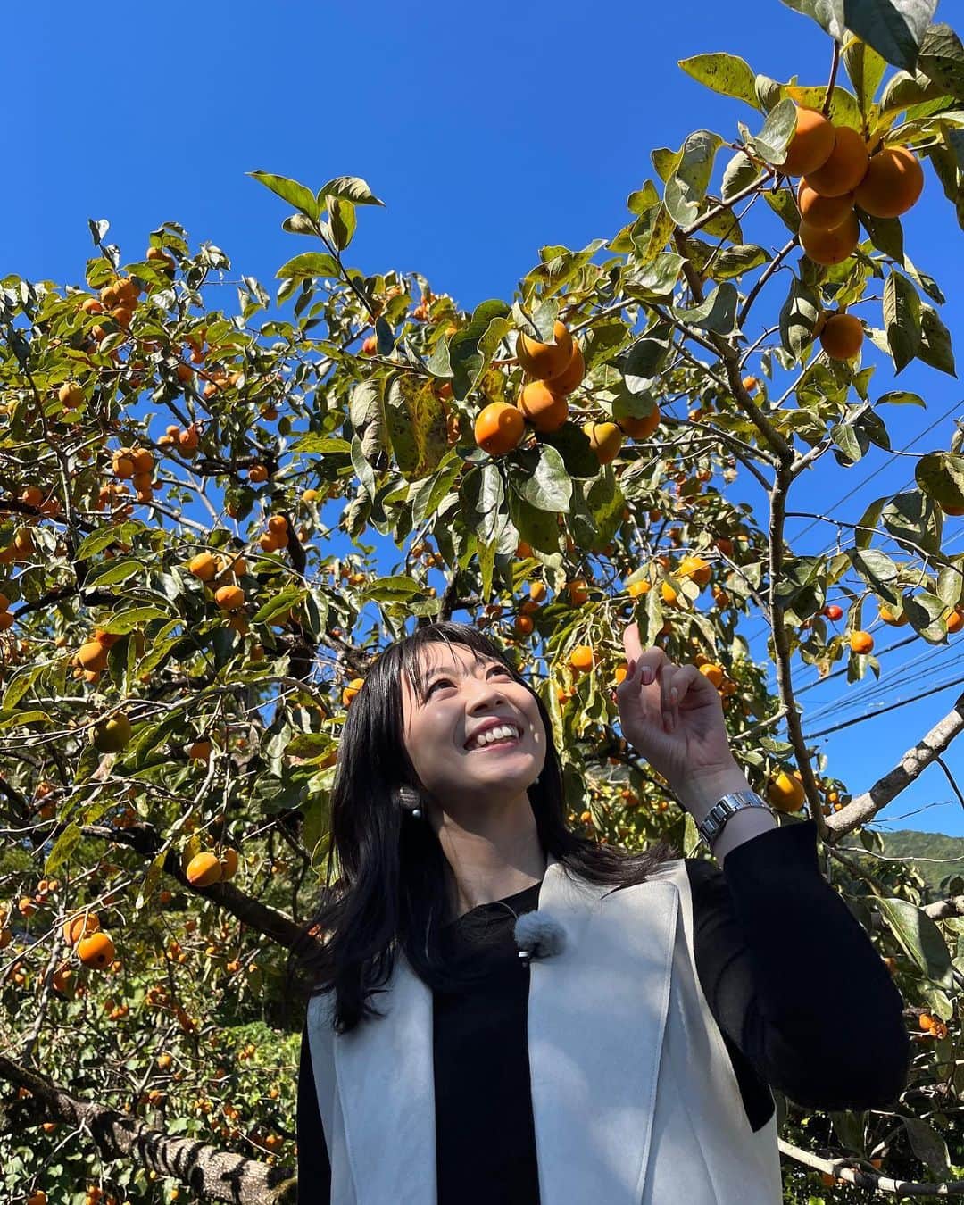 虎谷温子のインスタグラム：「明日の#すまたん は#那智勝浦 旅の後編です！ 雲ひとつない青空でした☀️☀️☀️ @takeshimori.free.tar.ana  森さんもご出演です！」