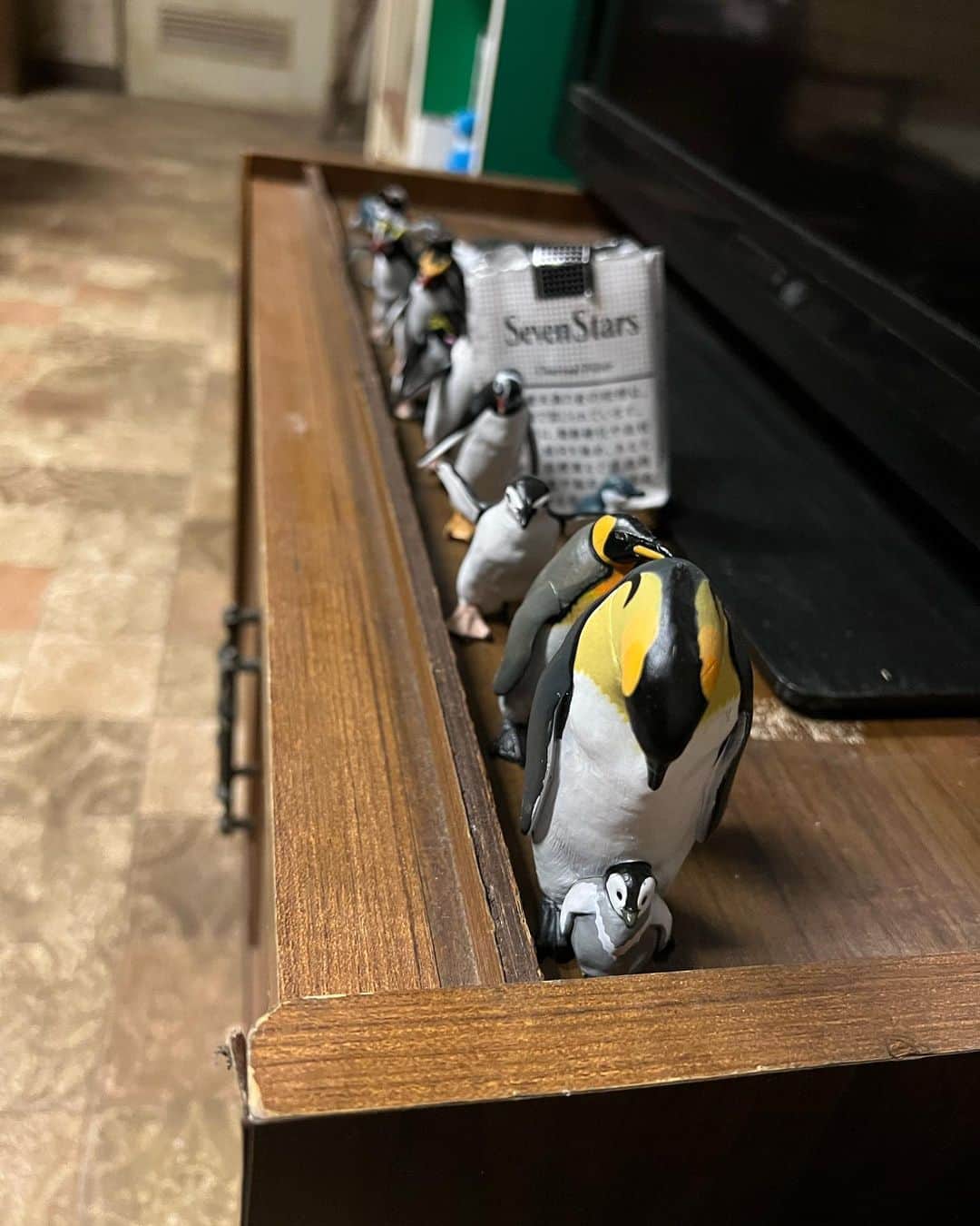 山口祥行のインスタグラム：「今夜‼️ #ファーストペンギン」