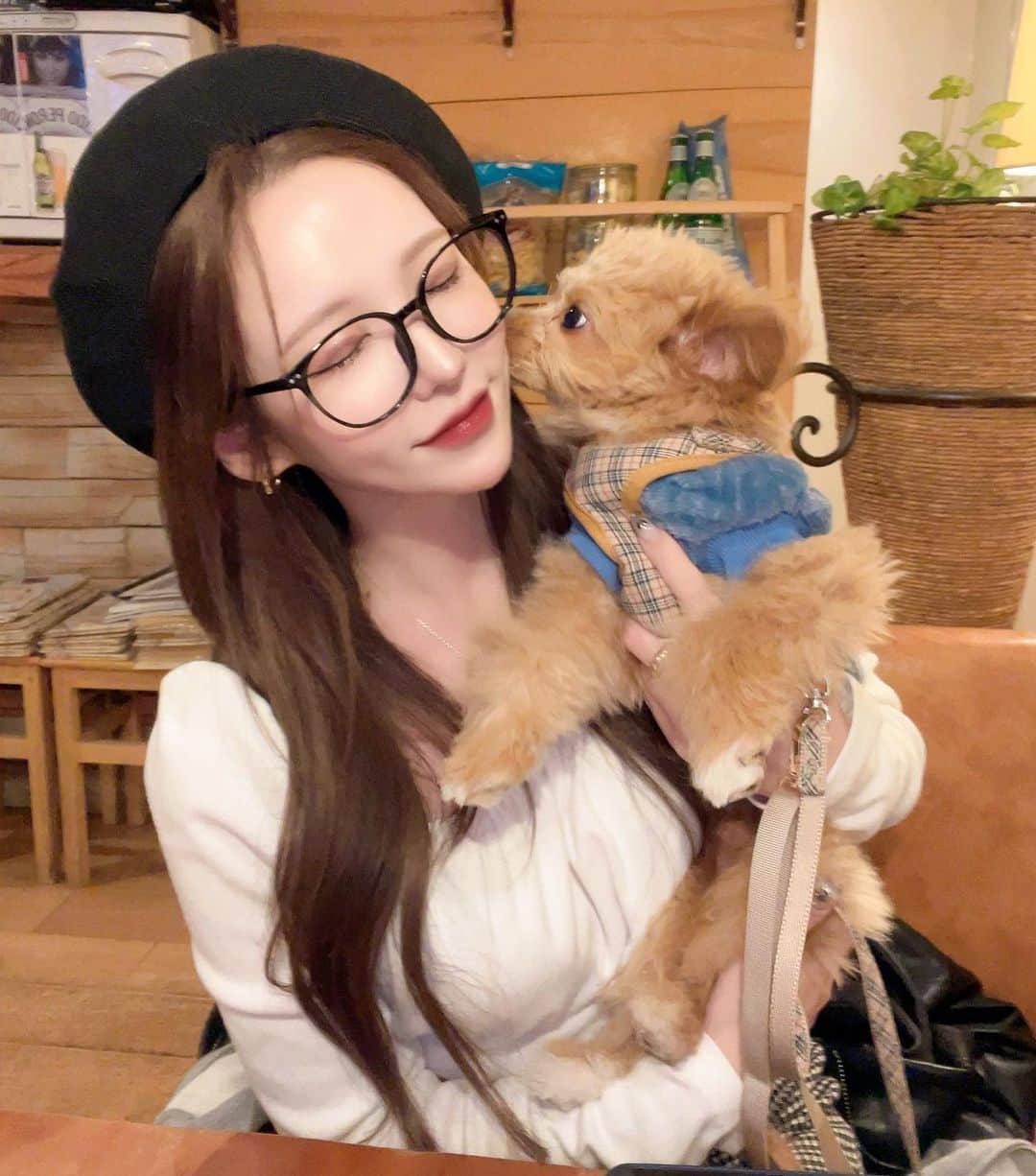 ANNAさんのインスタグラム写真 - (ANNAInstagram)「可愛い可愛いお友達のチョロ🐶💛 しゃーやしな顔で写真撮ってくれた🐶それさえも愛おしい🫶🏻💕笑  #チワプー ⁡ ⁡ #ootd#selfie#daily#dailylook#오오티디#데일리룩#코디#좋아요#좋아요반사#패션스타그램#셀스타그램#셀카#韓国ファッション#韓国メイク」11月16日 18時04分 - sx_xanna