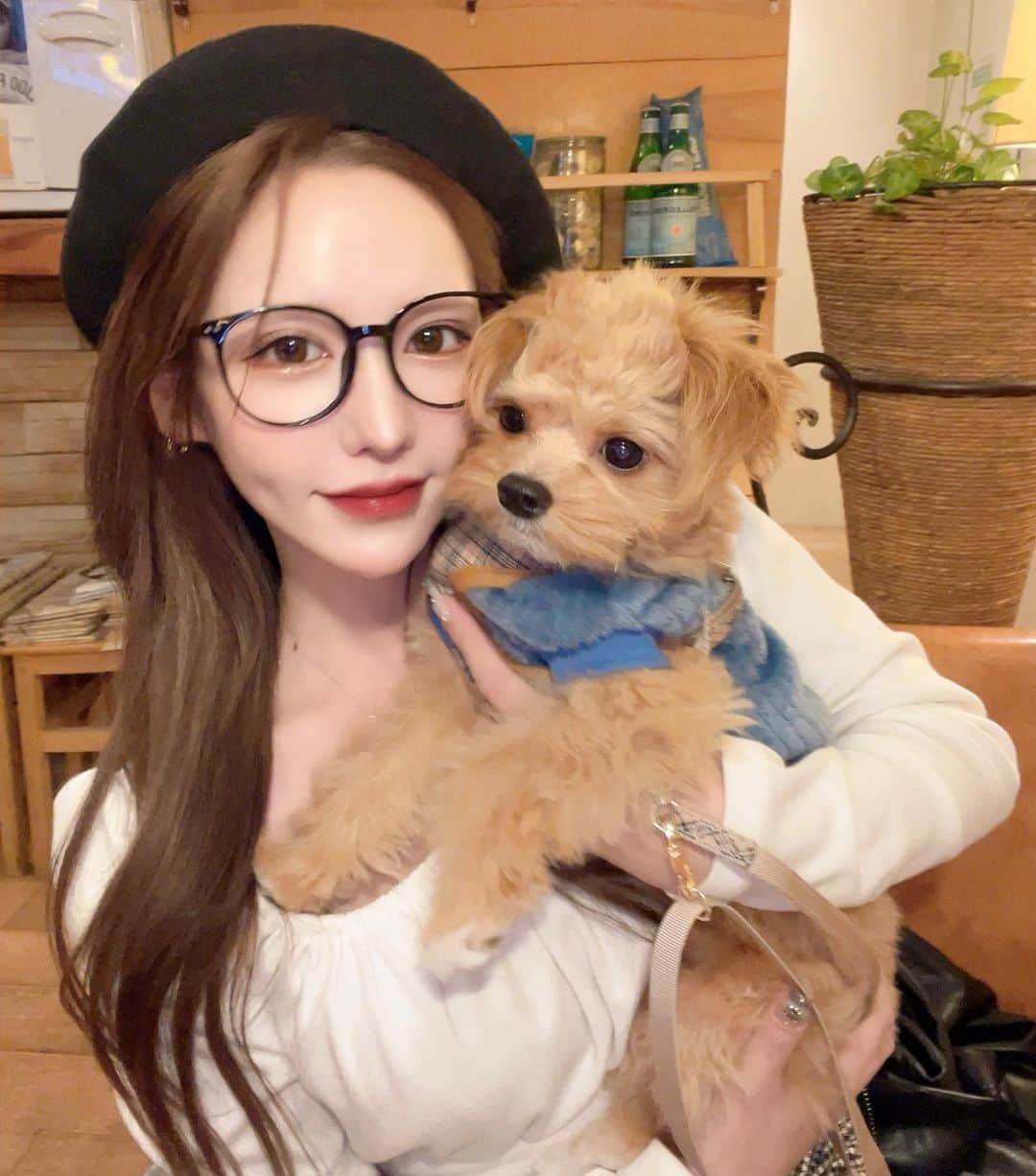 ANNAのインスタグラム：「可愛い可愛いお友達のチョロ🐶💛 しゃーやしな顔で写真撮ってくれた🐶それさえも愛おしい🫶🏻💕笑  #チワプー ⁡ ⁡ #ootd#selfie#daily#dailylook#오오티디#데일리룩#코디#좋아요#좋아요반사#패션스타그램#셀스타그램#셀카#韓国ファッション#韓国メイク」