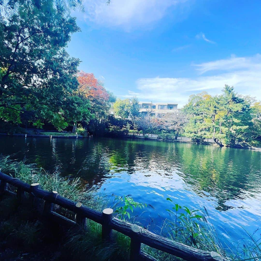 高田有紗さんのインスタグラム写真 - (高田有紗Instagram)「週末に公園にふらりふらり🐈🐾  石神井公園は、デートしてるおじいちゃんおばあちゃん多かった🥰  推し🎹がライブにゲスト出演してて、主催の方全く知らないのに駆けつけるという鋼のハート🤤笑  ひとりでずっとにまにましてる怪しいファンかましてきた!❤️‍🔥  #石神井公園 #デートスポット #デートにおすすめ #推し活日和 #都内散歩 #散歩スポット #公園巡り #公園デート #街ぶら #紅葉スポット #芸術の秋」11月16日 19時05分 - arisatakada.album