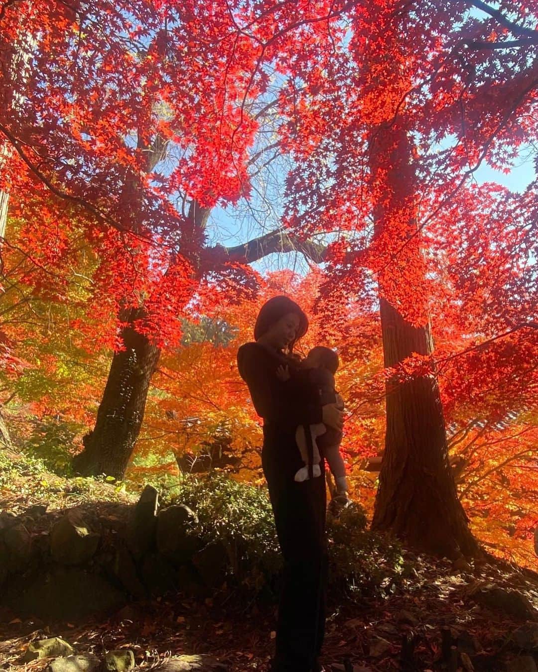 三石佳那のインスタグラム：「ㅤㅤㅤㅤㅤㅤㅤㅤㅤㅤㅤㅤㅤ  長野県清水寺で紅葉狩り🍁  写真が得意な母の撮影です。(※自称)  季節は一歩ずつ秋から冬へ。 身体労りながら過ごしていきましょ〜  #秋 #紅葉 #紅葉狩り #長野 #nagano」