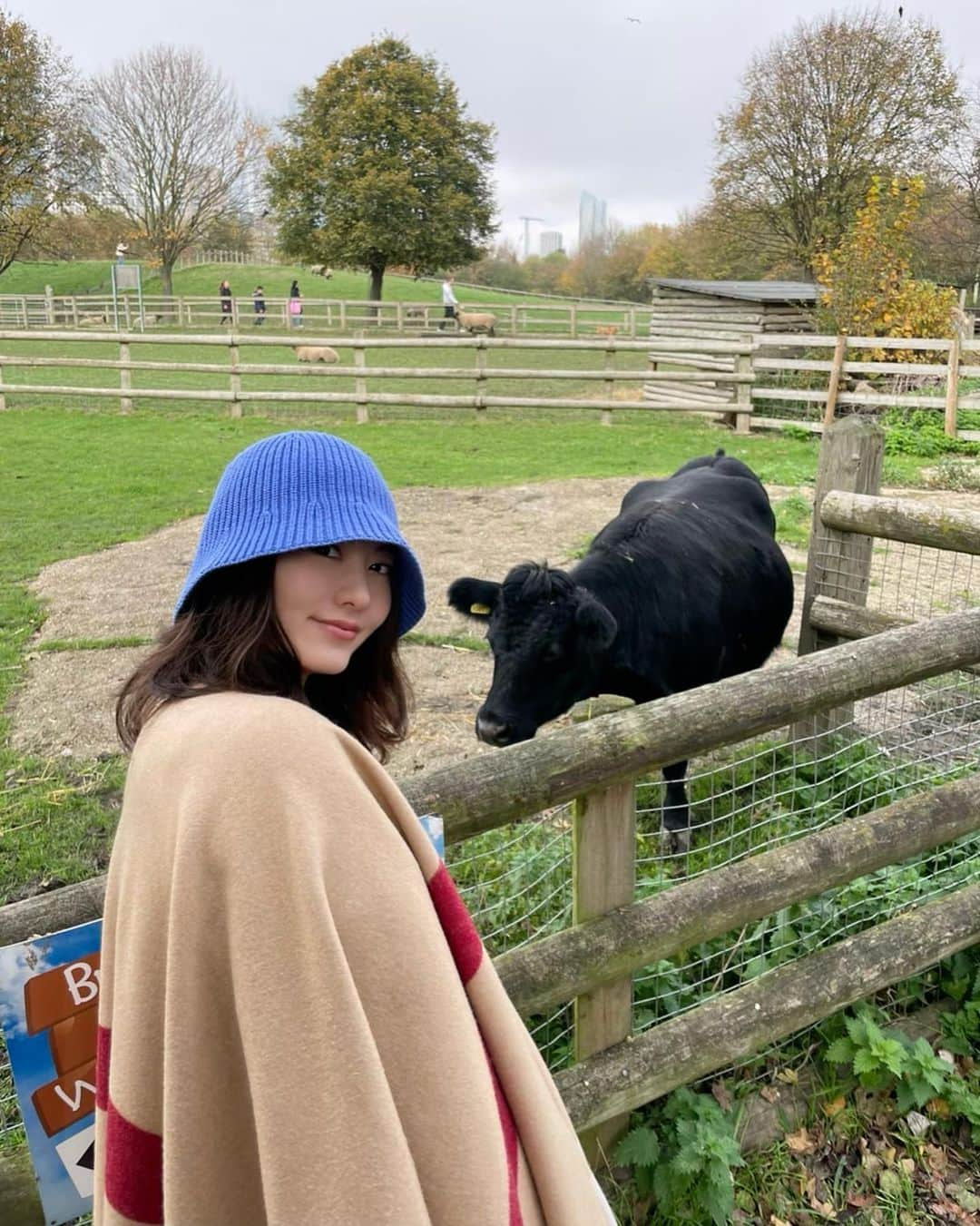 滝澤史さんのインスタグラム写真 - (滝澤史Instagram)「牧場に行ってきました🐖🐃🐏  #farm  #牧場」11月16日 22時06分 - fumi_takizawa_official