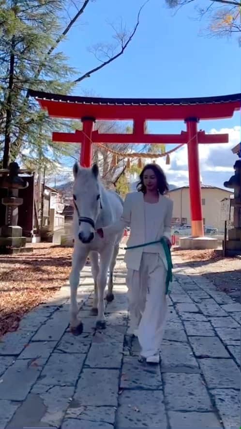 植野堀誠のインスタグラム：「Good boyyy🤍🐴」